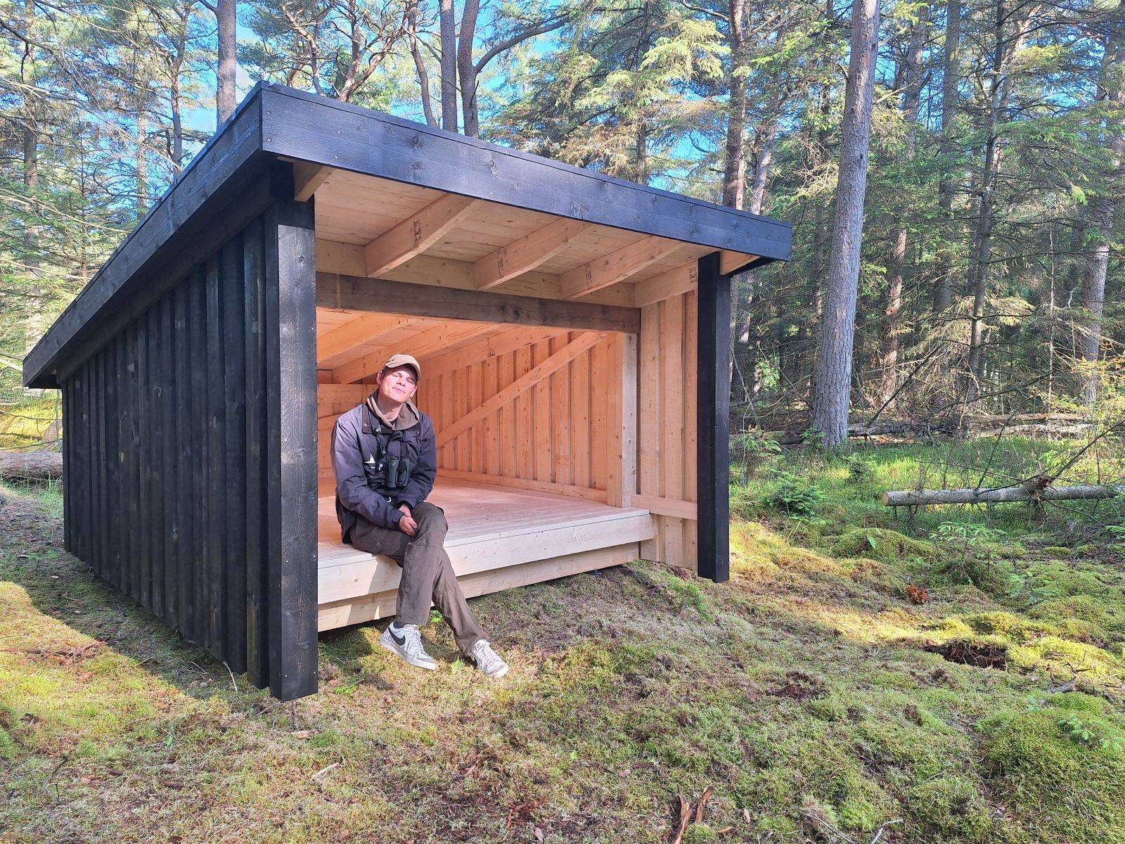 Billede af shelter Tversted Klitplantage - det hemmelige shelter