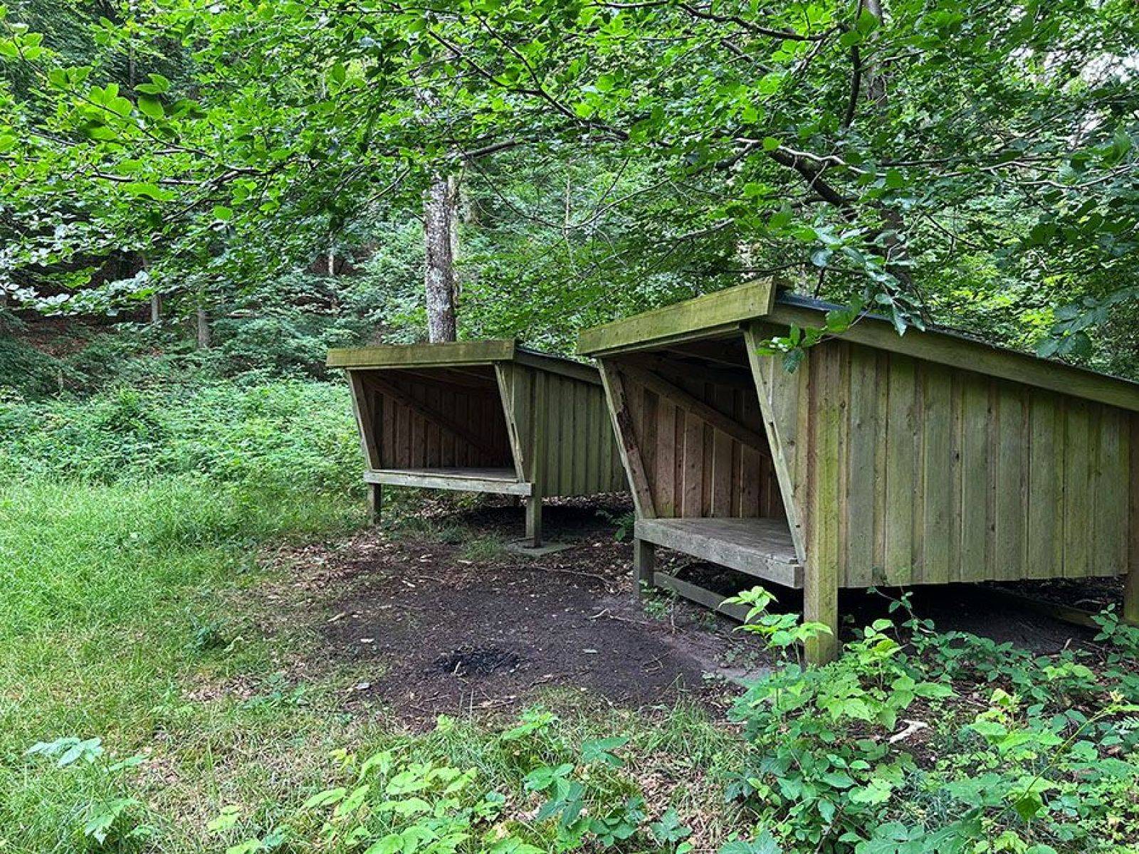 Billede af shelter Shelter på Ulvholmruten i Kastbjerg ådal