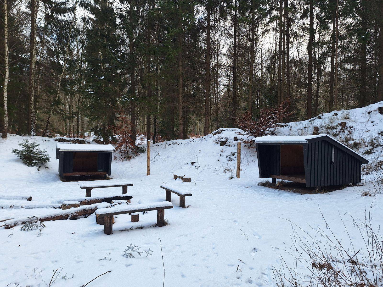 Billede af shelter Koralsvampen shelter