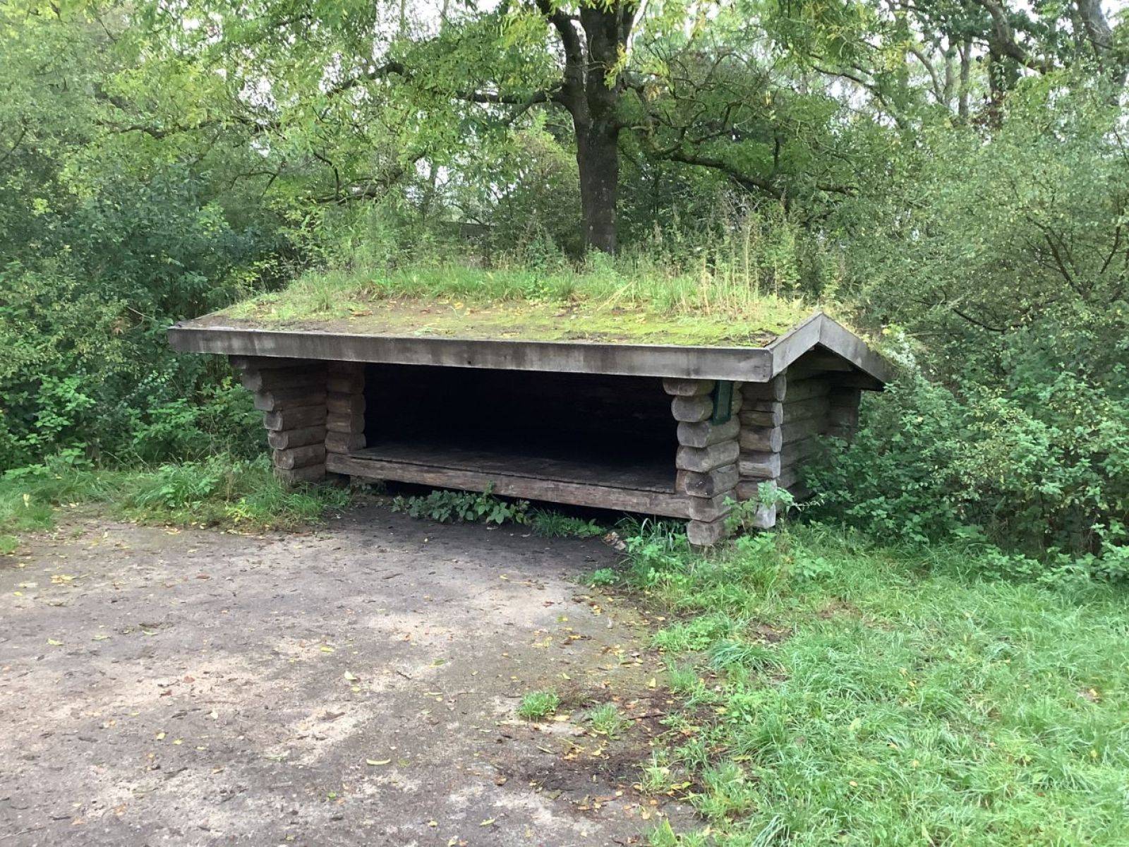 Billede af shelter Shelter ved Moesgård Strand