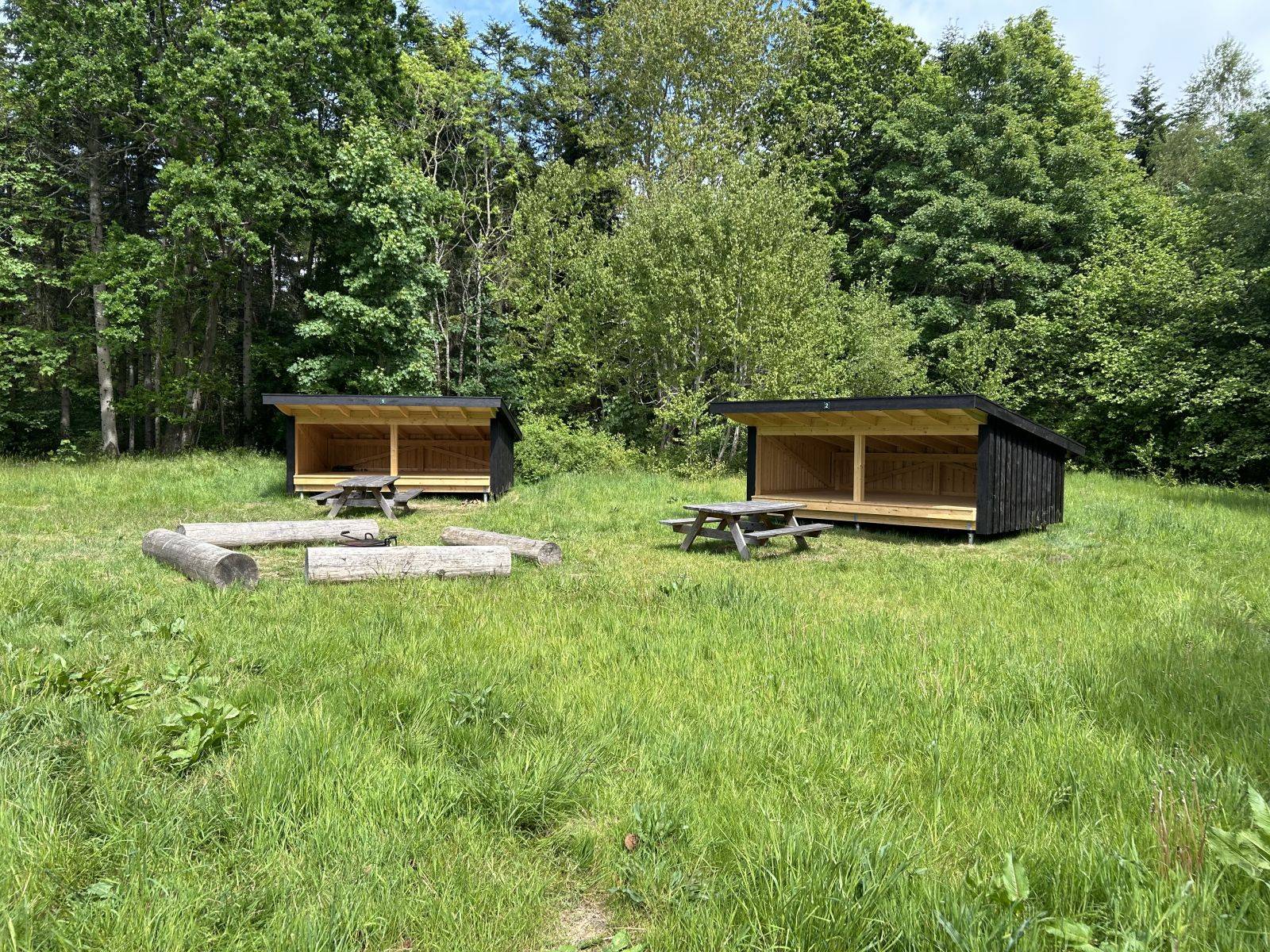 Billede af shelter Shelterplads i Skablund Skov, shelter 1