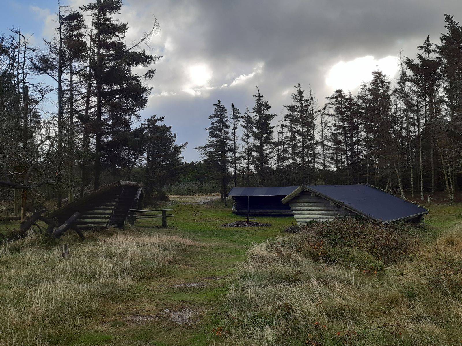 Billede af shelter Shelterplads på Gjellerodde – billede 2