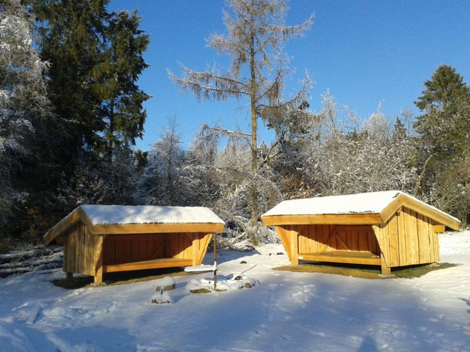 Billede af shelter Ilskov Shelterplads – billede 2