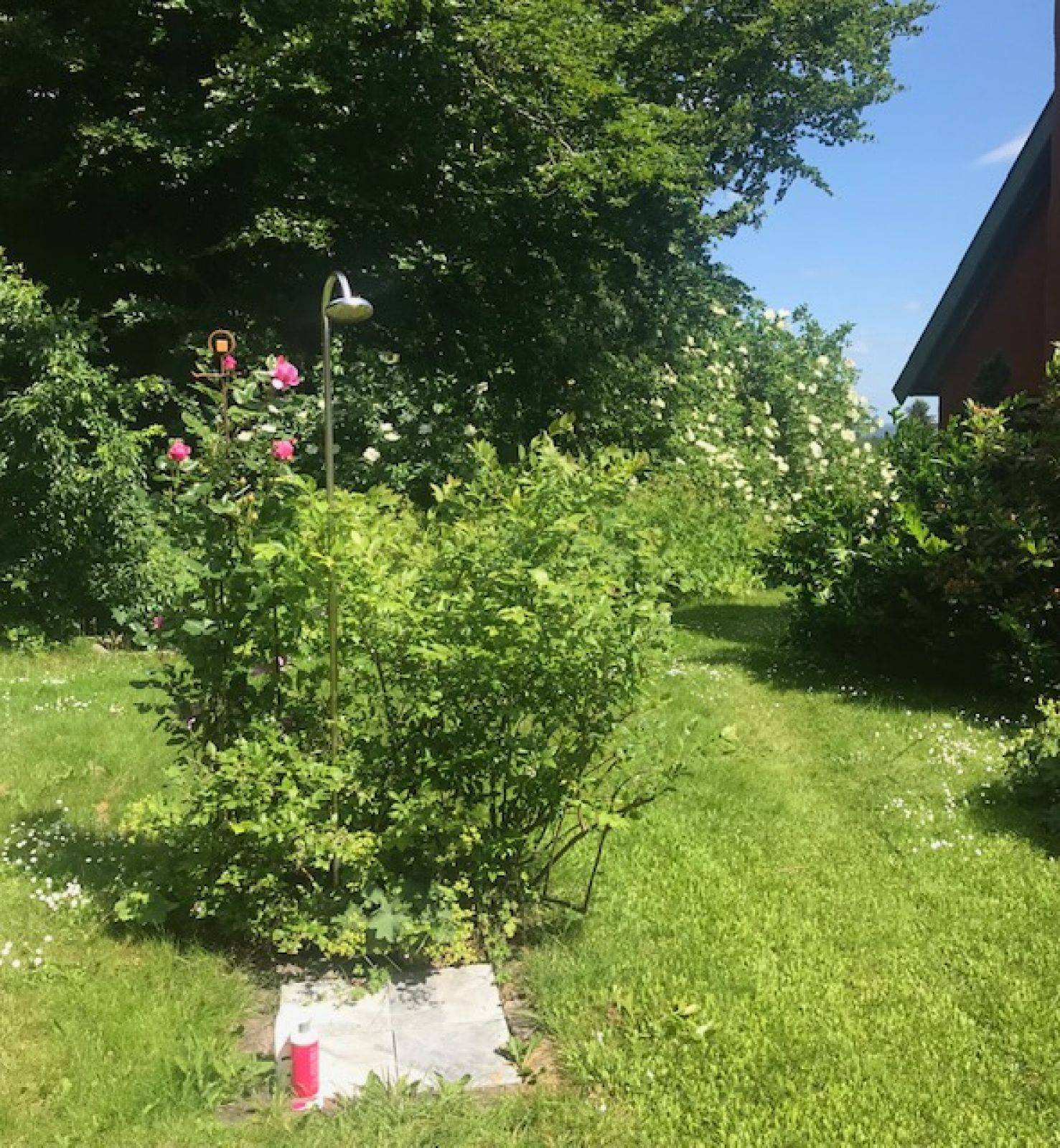 Billede af shelter Sønderås – billede 2