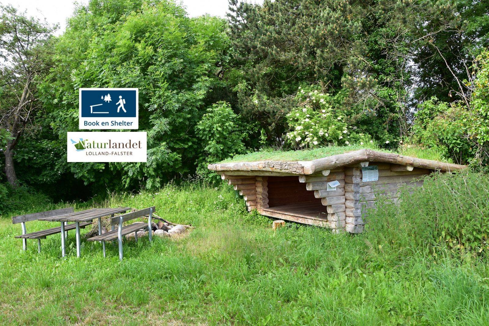 Billede af shelter Stokkemarke shelterplads – billede 3