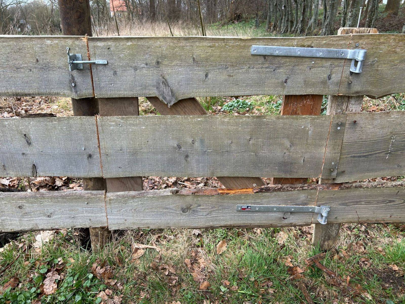 Billede af shelter Jordhuleshelter i Hatting Parken – billede 8