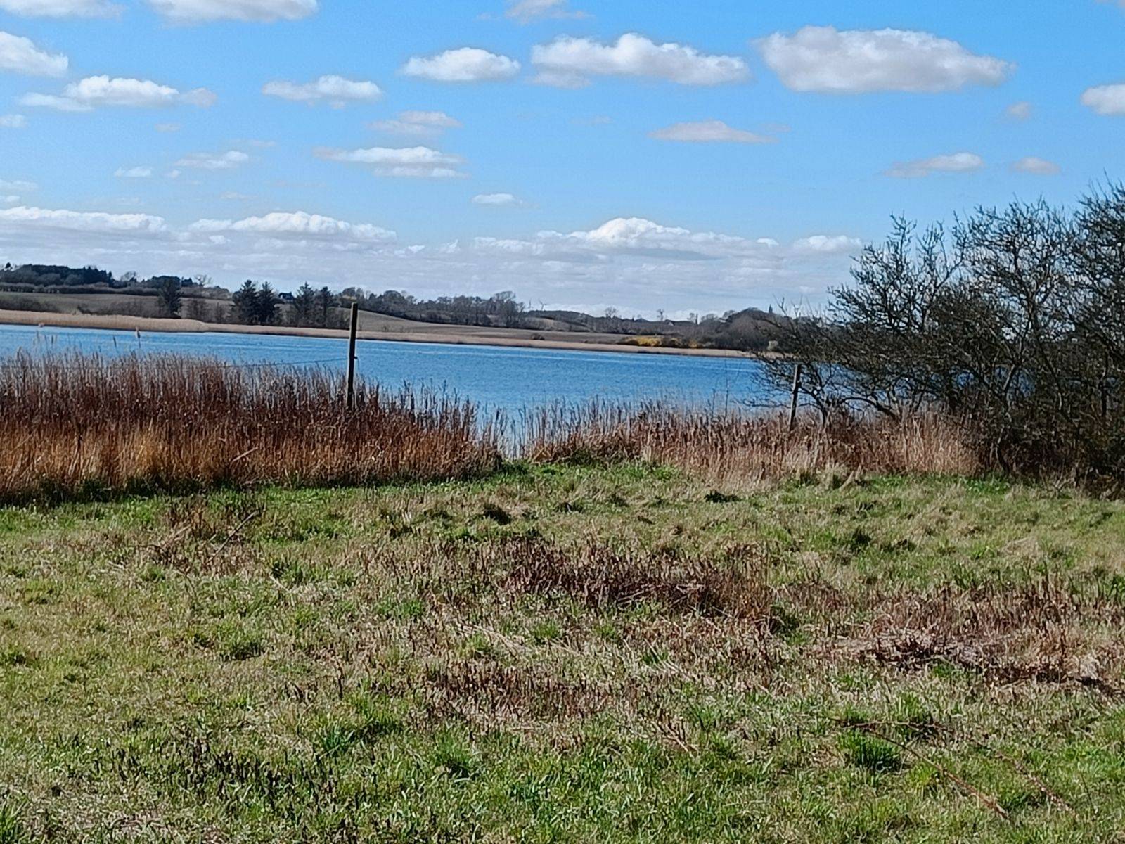 Billede af shelter Dyrehavehuse Naturcampingplads