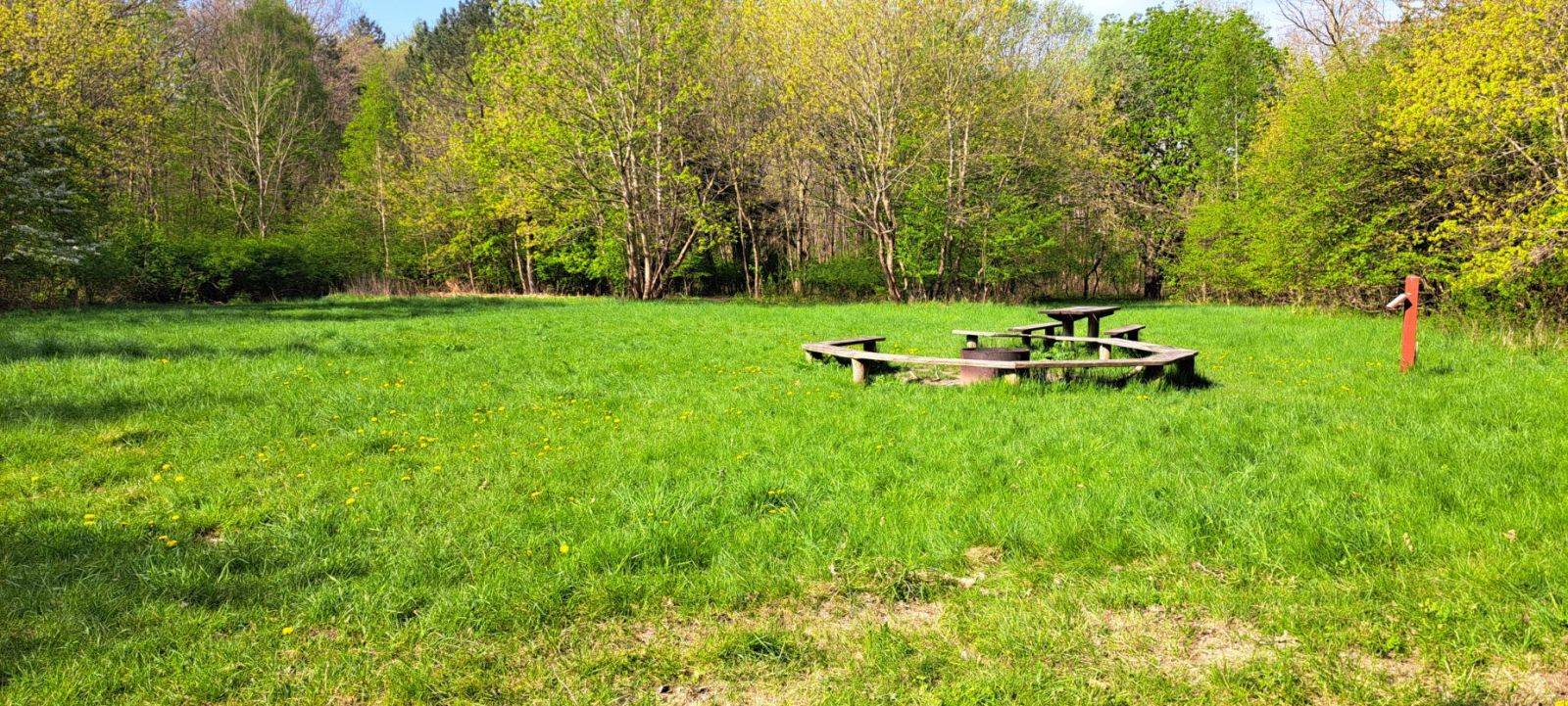Billede af shelter Vestskoven, shelter ved Bymosevej – billede 2