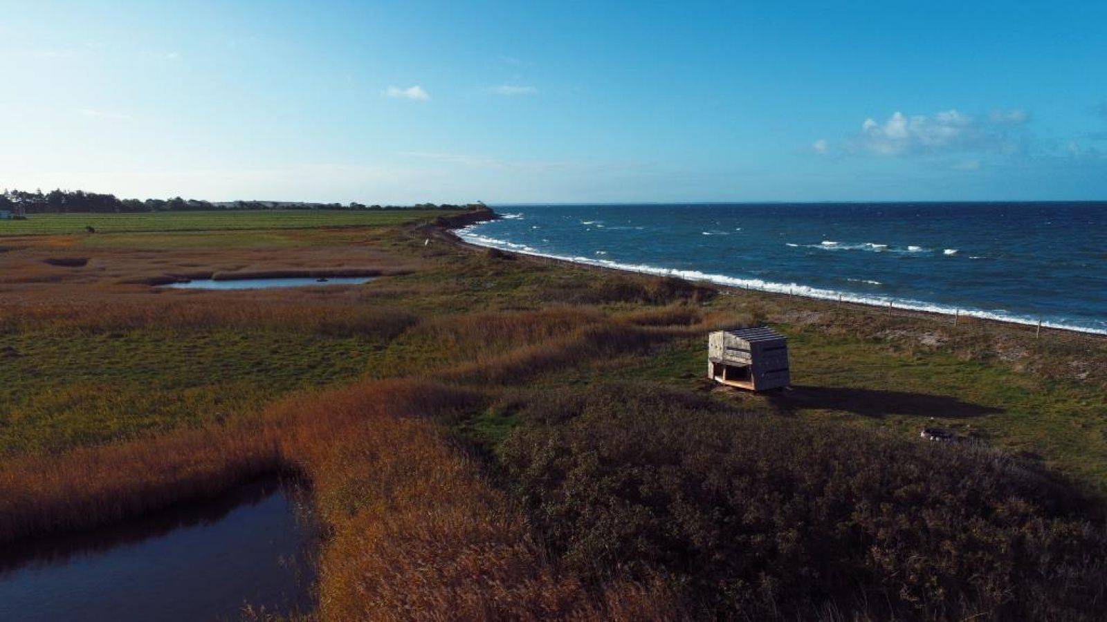 Billede af shelter Agernæs Shelterplads