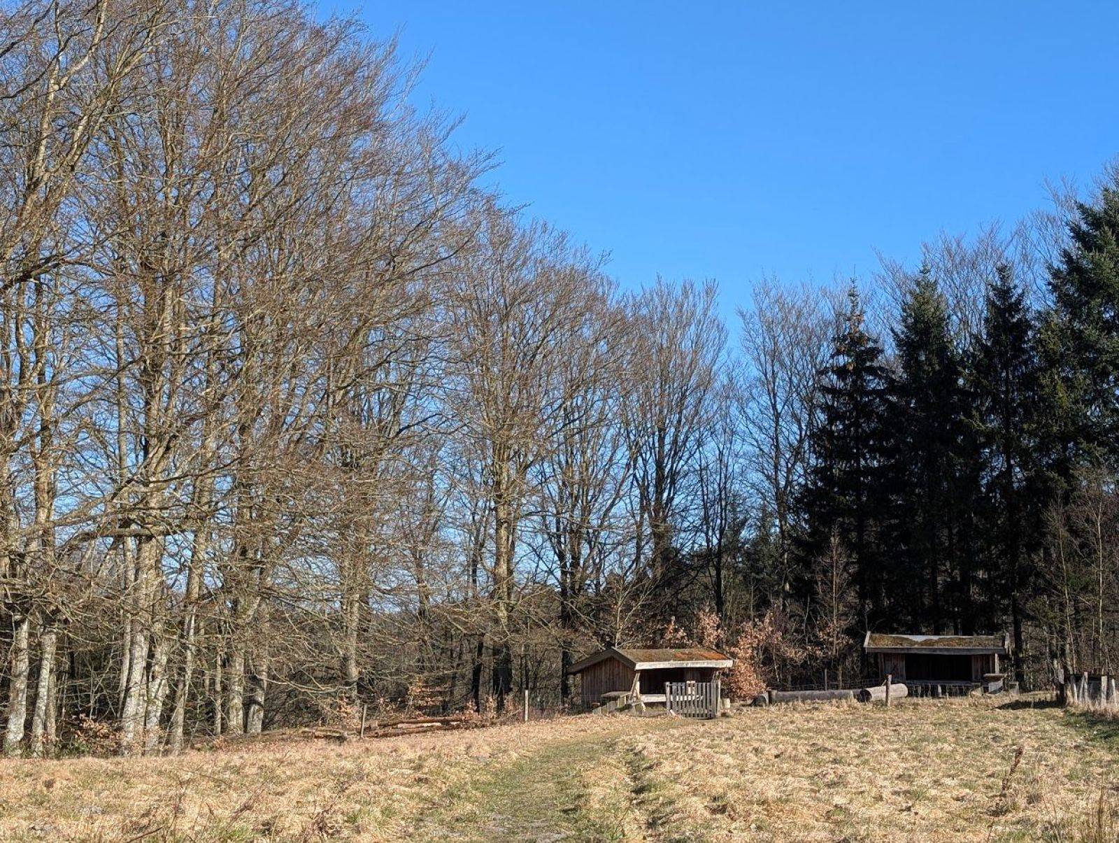 Billede af shelter Shelterpladsen ved Høgdal (shelter 1)