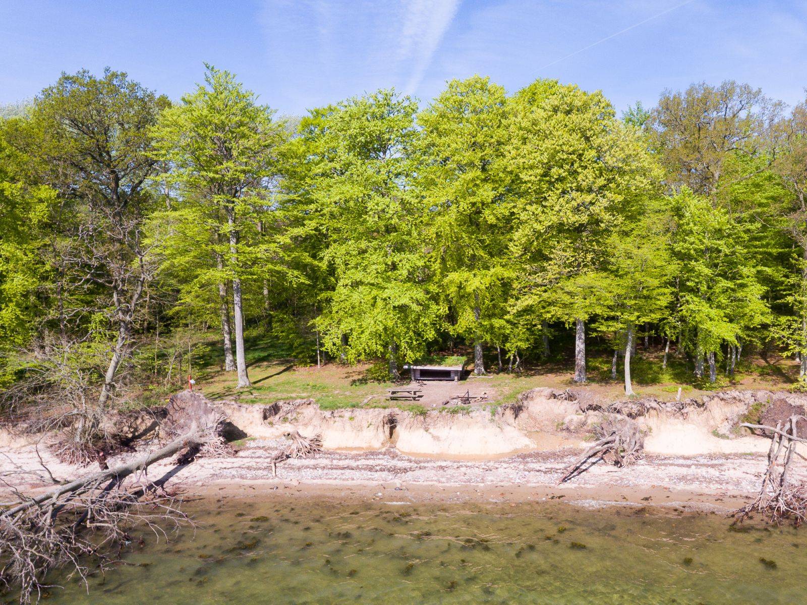 Billede af shelter Stenderup Sønderskov Shelter – billede 7