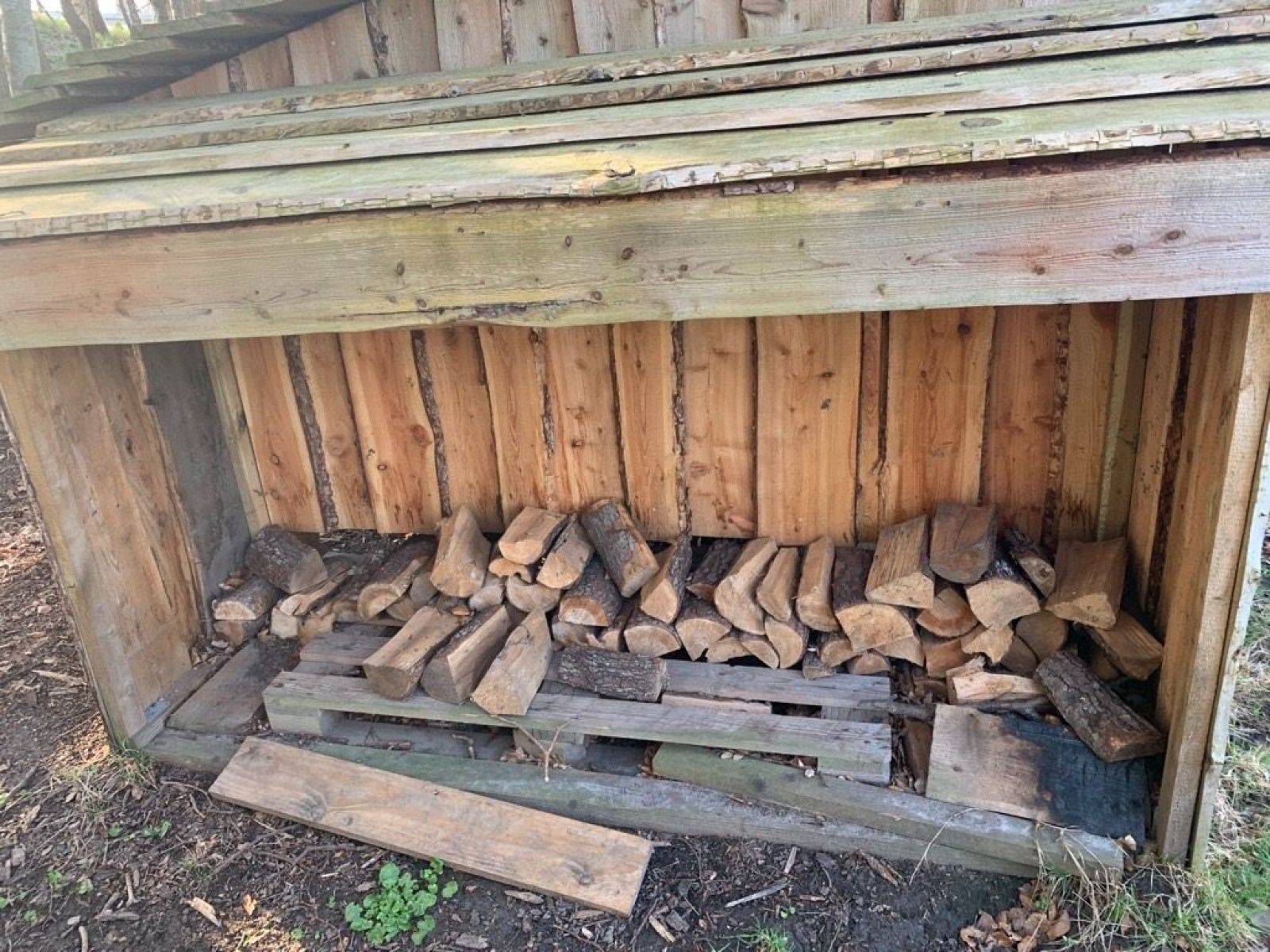 Billede af shelter Jordhuleshelter i Hatting Parken – billede 6