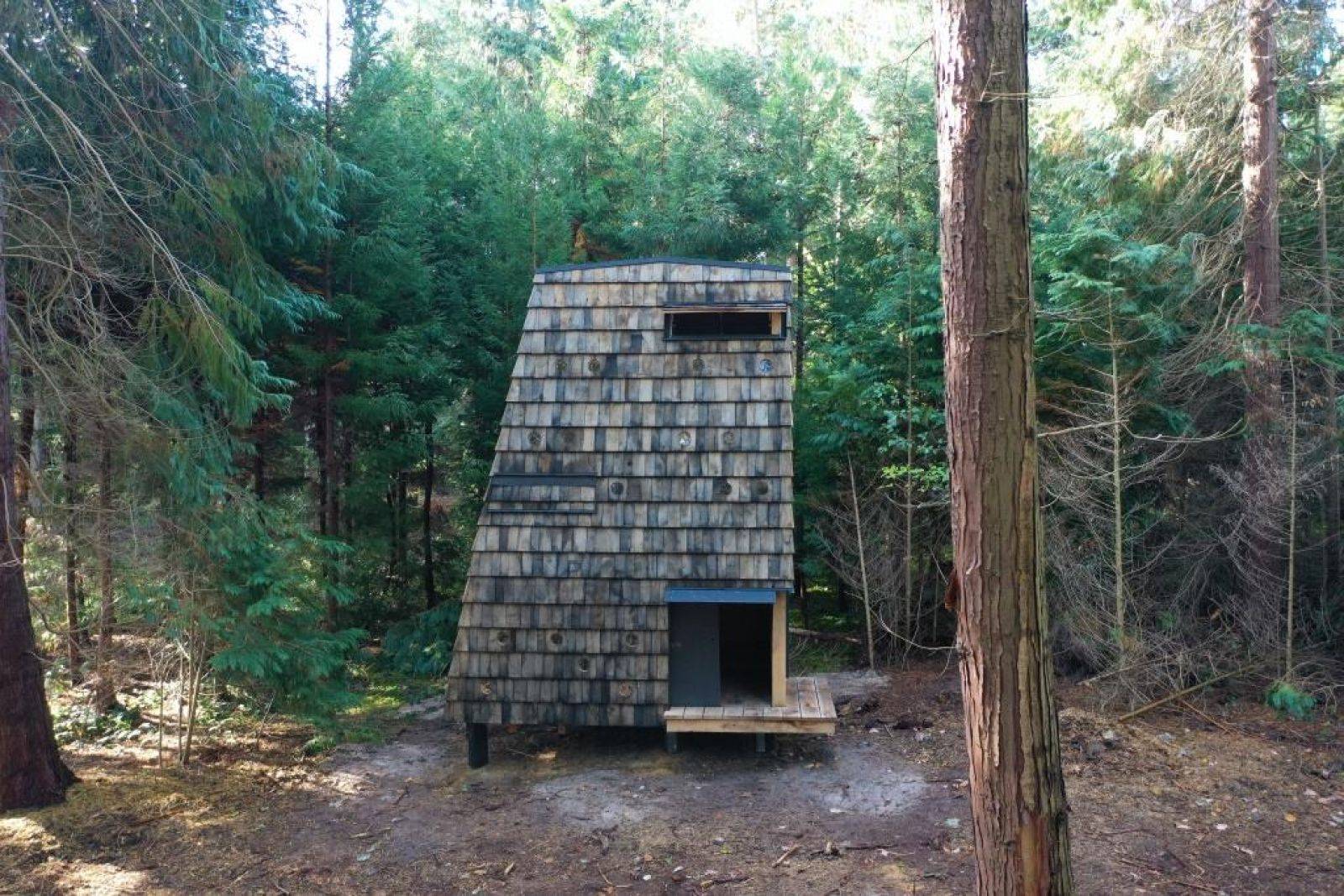 Billede af shelter Staurby Skov Shelterplads – billede 3