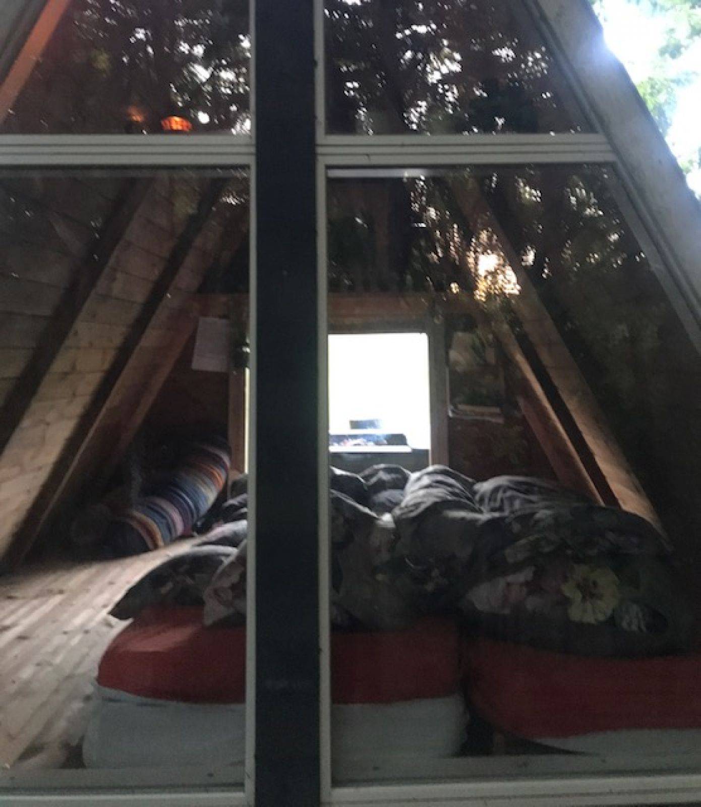 Billede af shelter Sønderås – billede 3