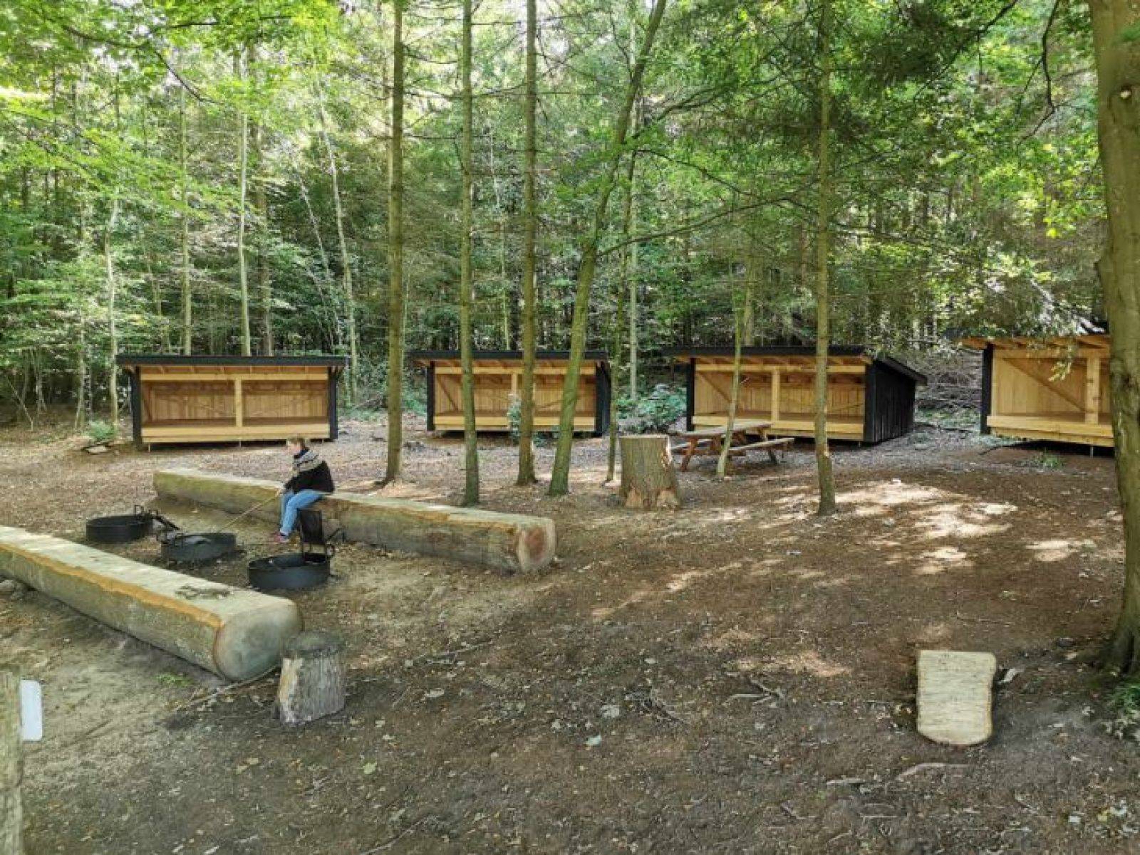 Billede af shelter Shelter 3 - Sollerup Skov – billede 2