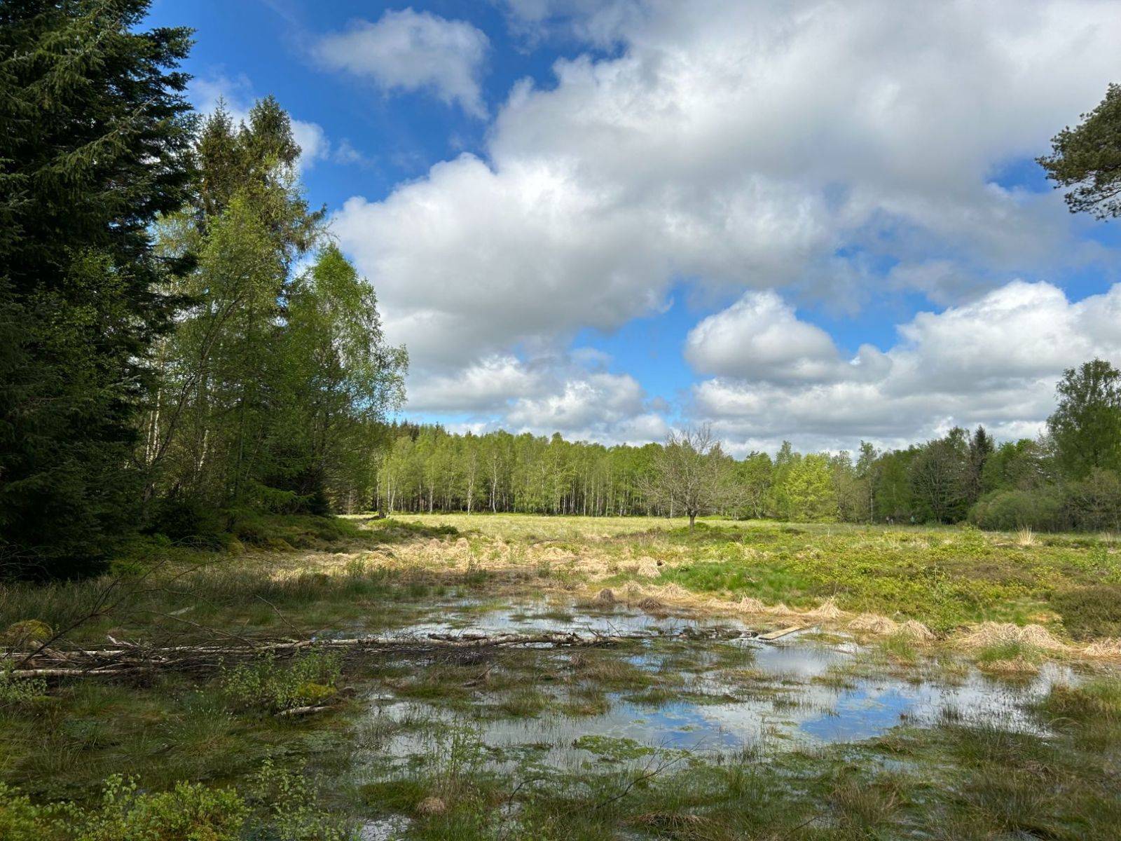 Billede af shelter Shelterplads ved Kældermosen, Hampen sø – billede 3