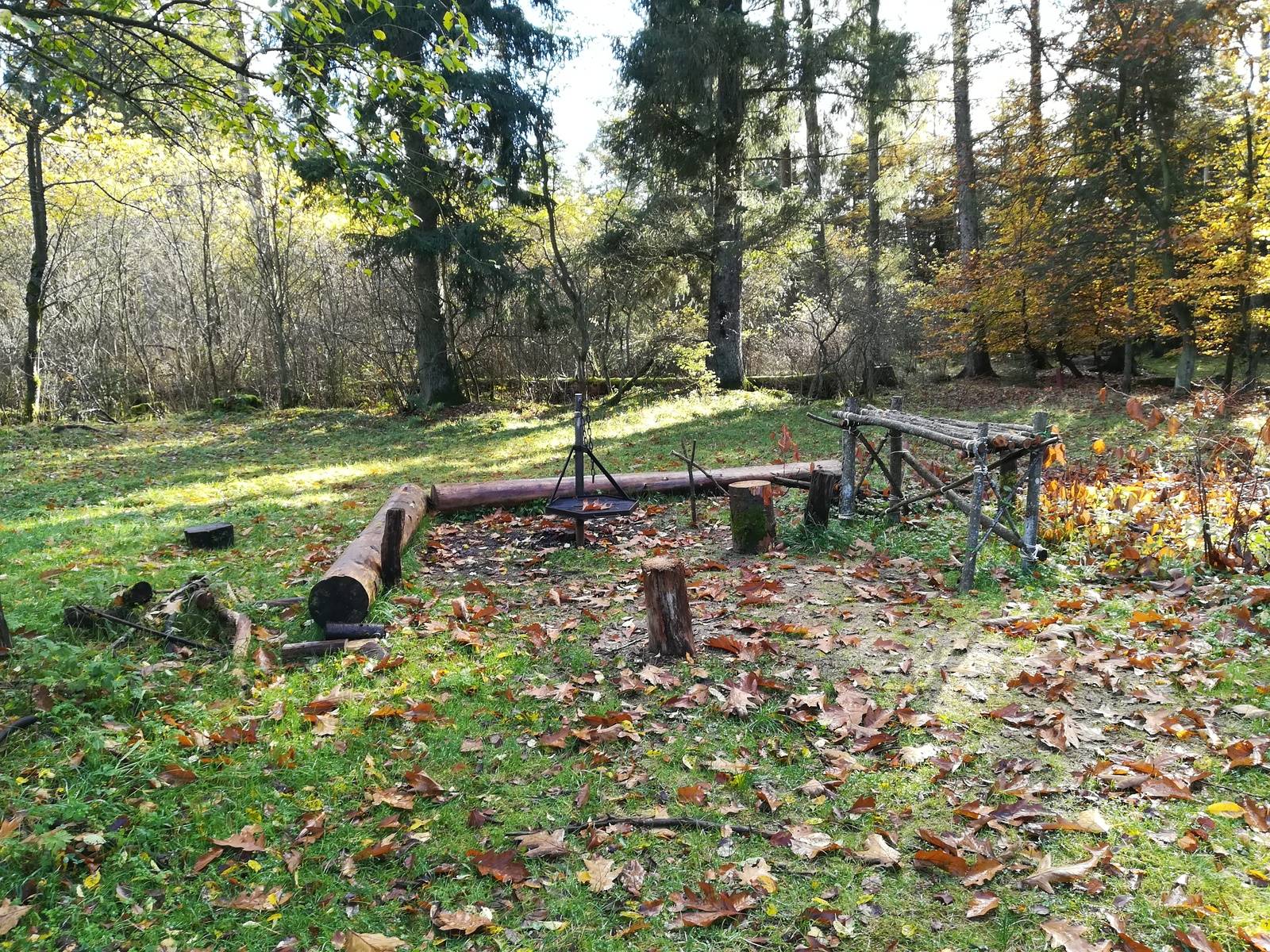 Billede af shelter Primitiv overnatningsplads med shelter ved Urhanevej i Kompedal Plantage – billede 2