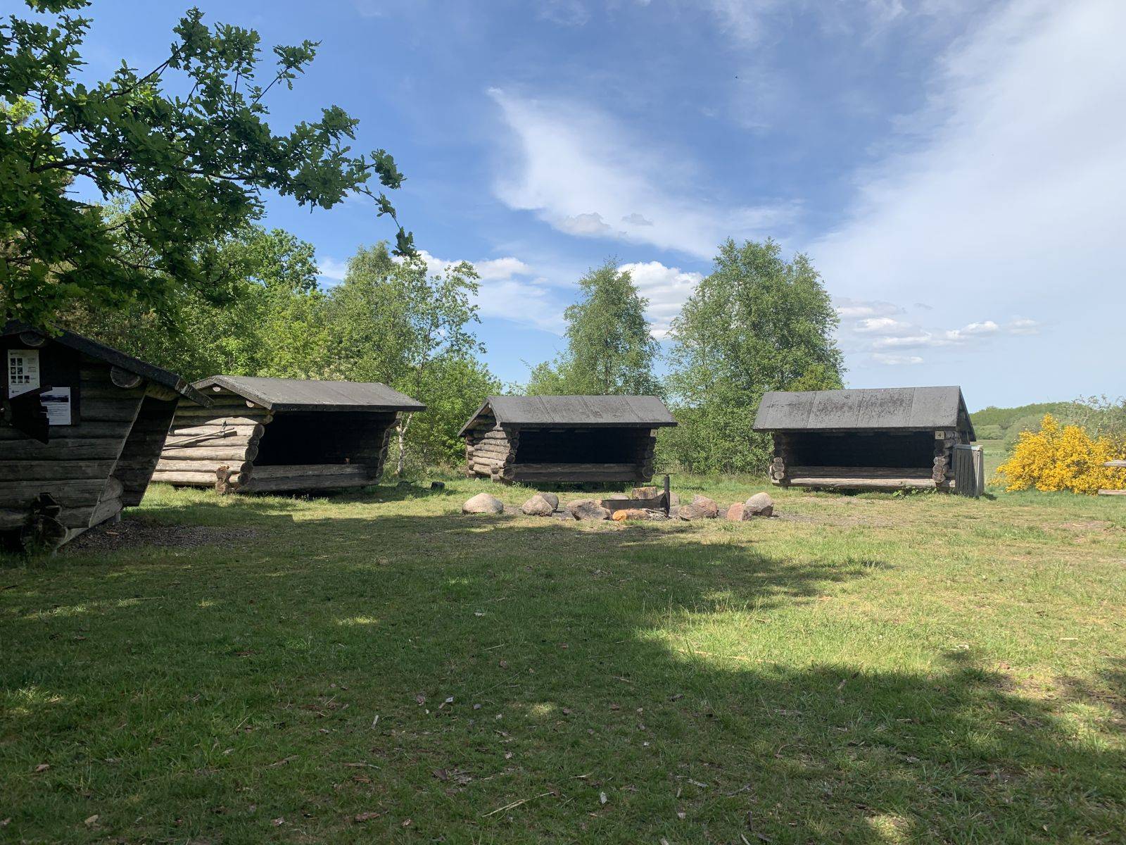 Billede af shelter Gudumkær plantage shelterplads – billede 1