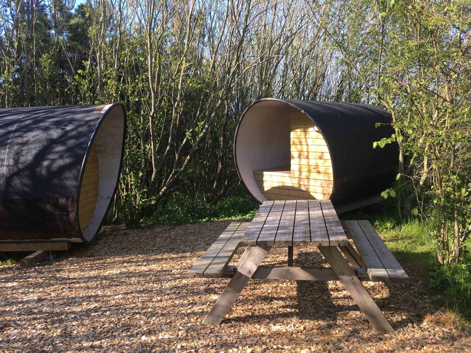 Billede af shelter Shelter ved Bakholm – billede 3