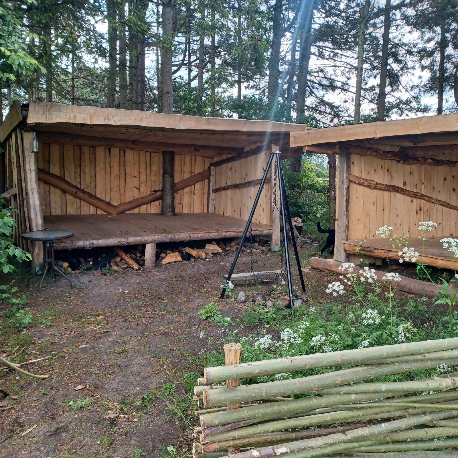 Billede af shelter Viskinge Eventyrlige Skovhaver – billede 3