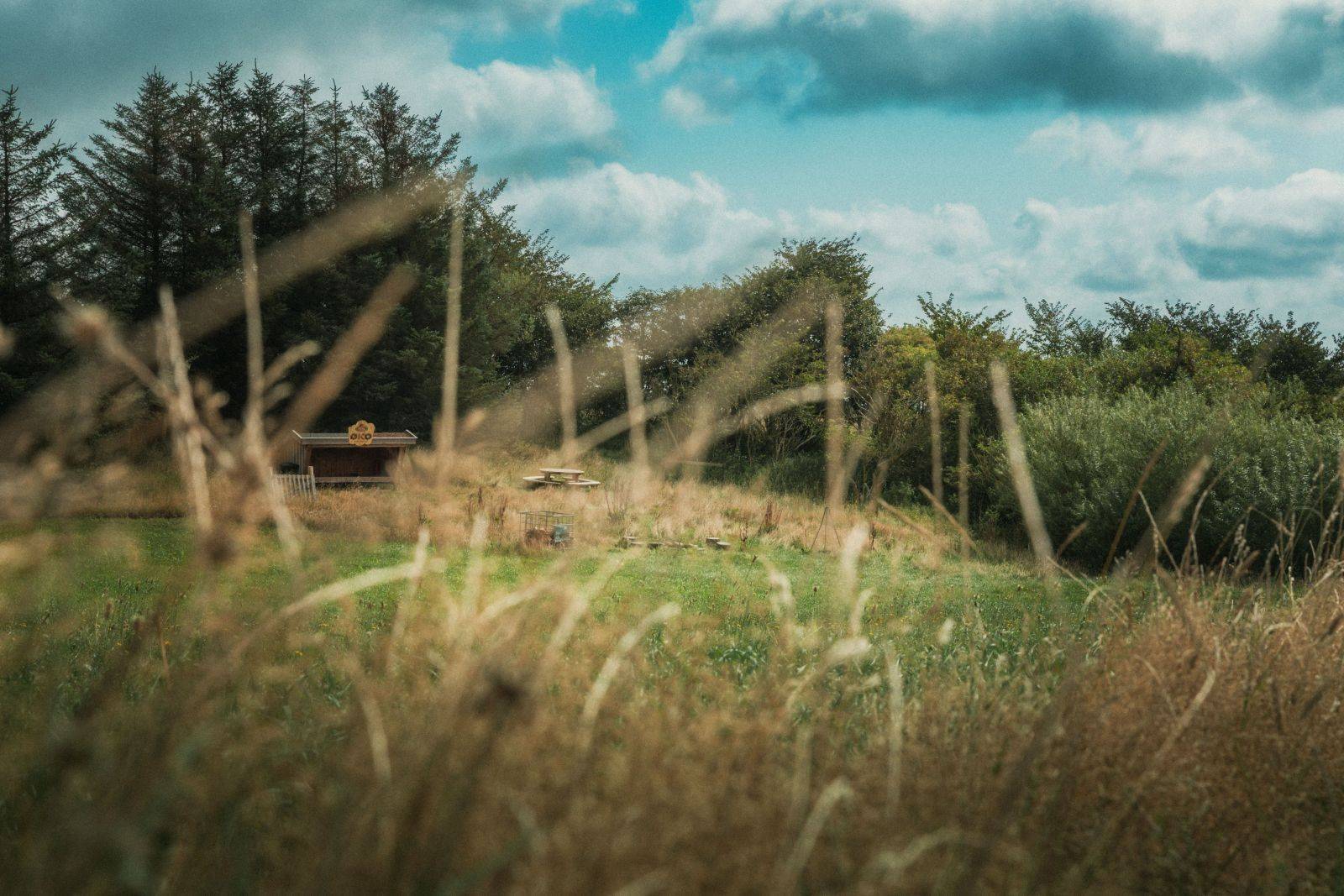 Billede af shelter Østerskaarup Gård - Arla ØKO Shelter – billede 4