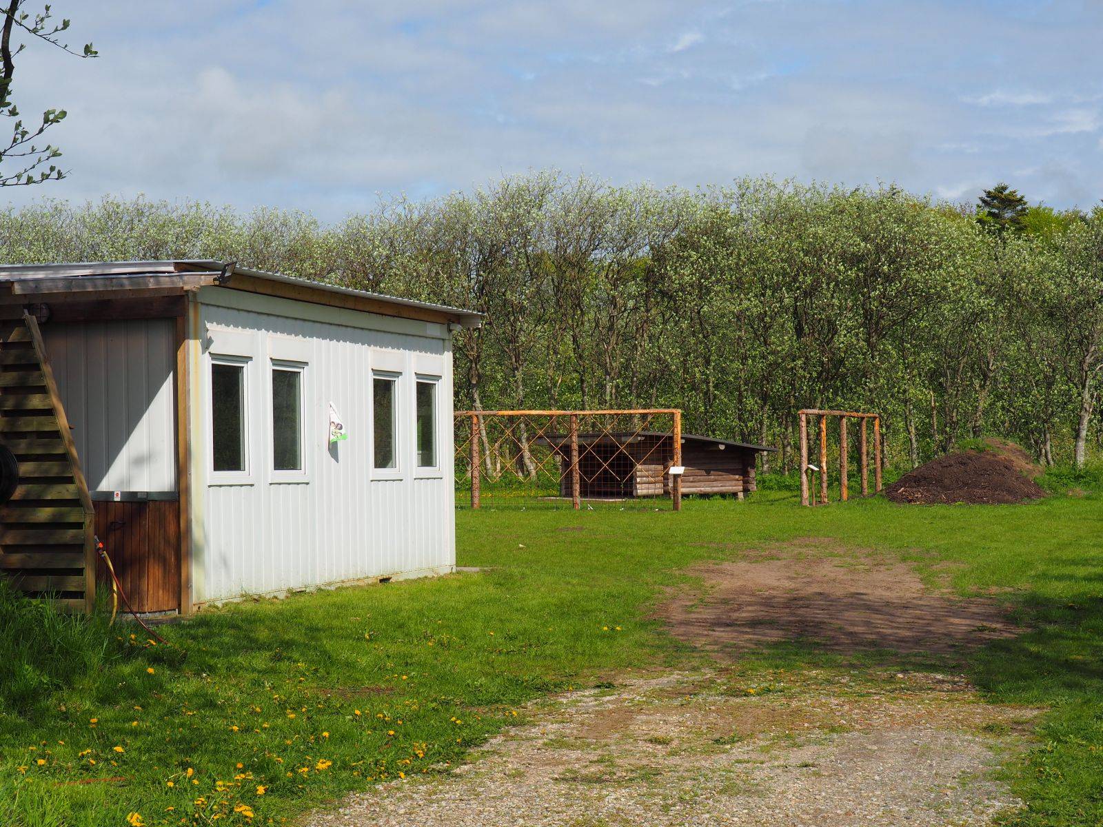 Billede af shelter Shelter i pometet Rødding, Skive – billede 5