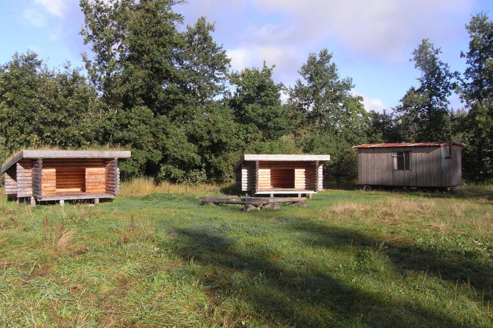 Billede af shelter Tranum Klitplantage - Ajs Holes Plads