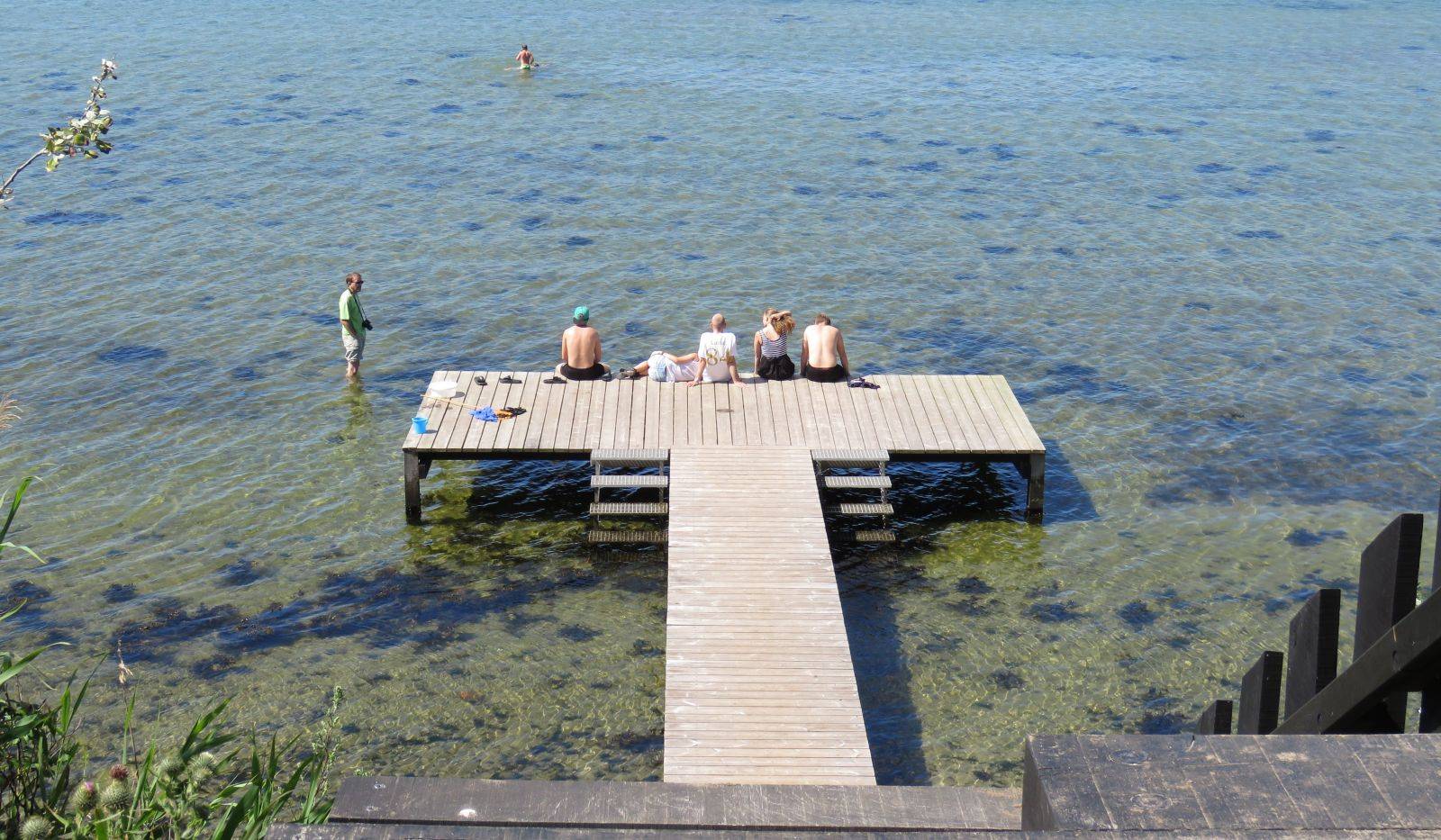 Billede af shelter Millinge Klint – billede 4