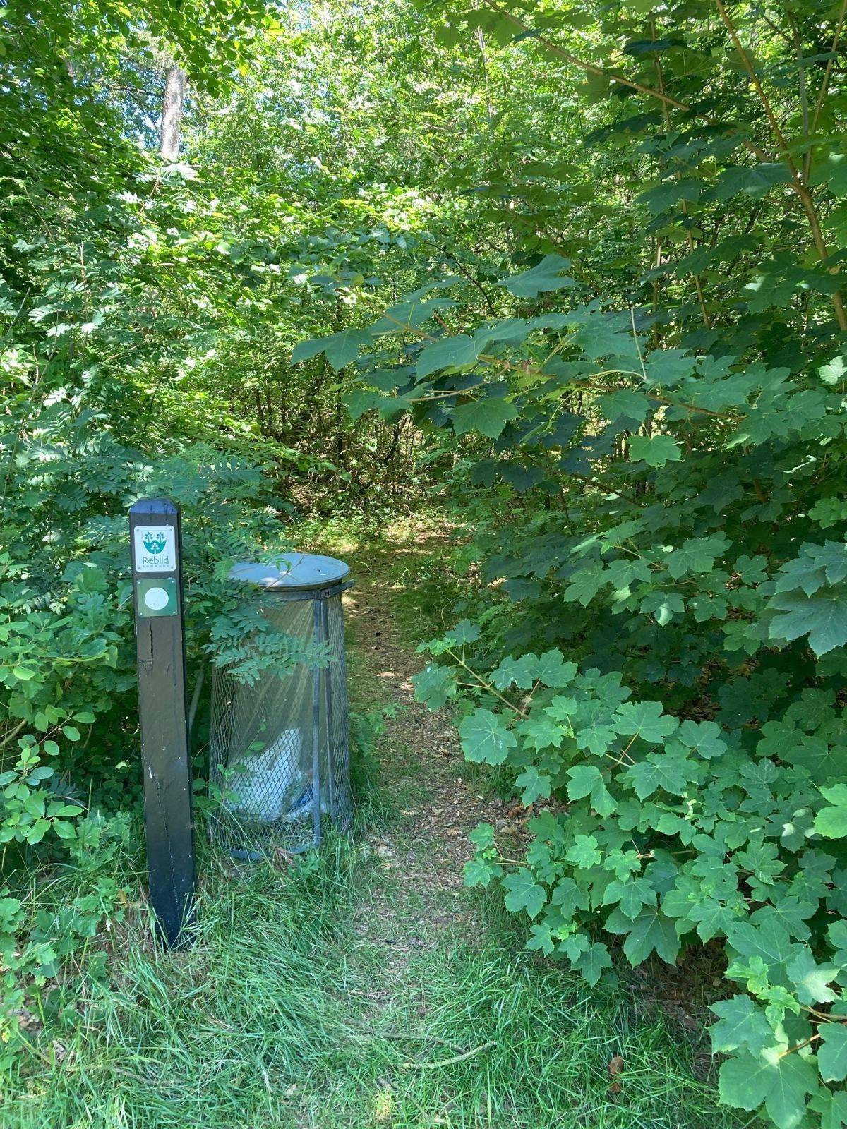 Billede af shelter Horsdalen – billede 4