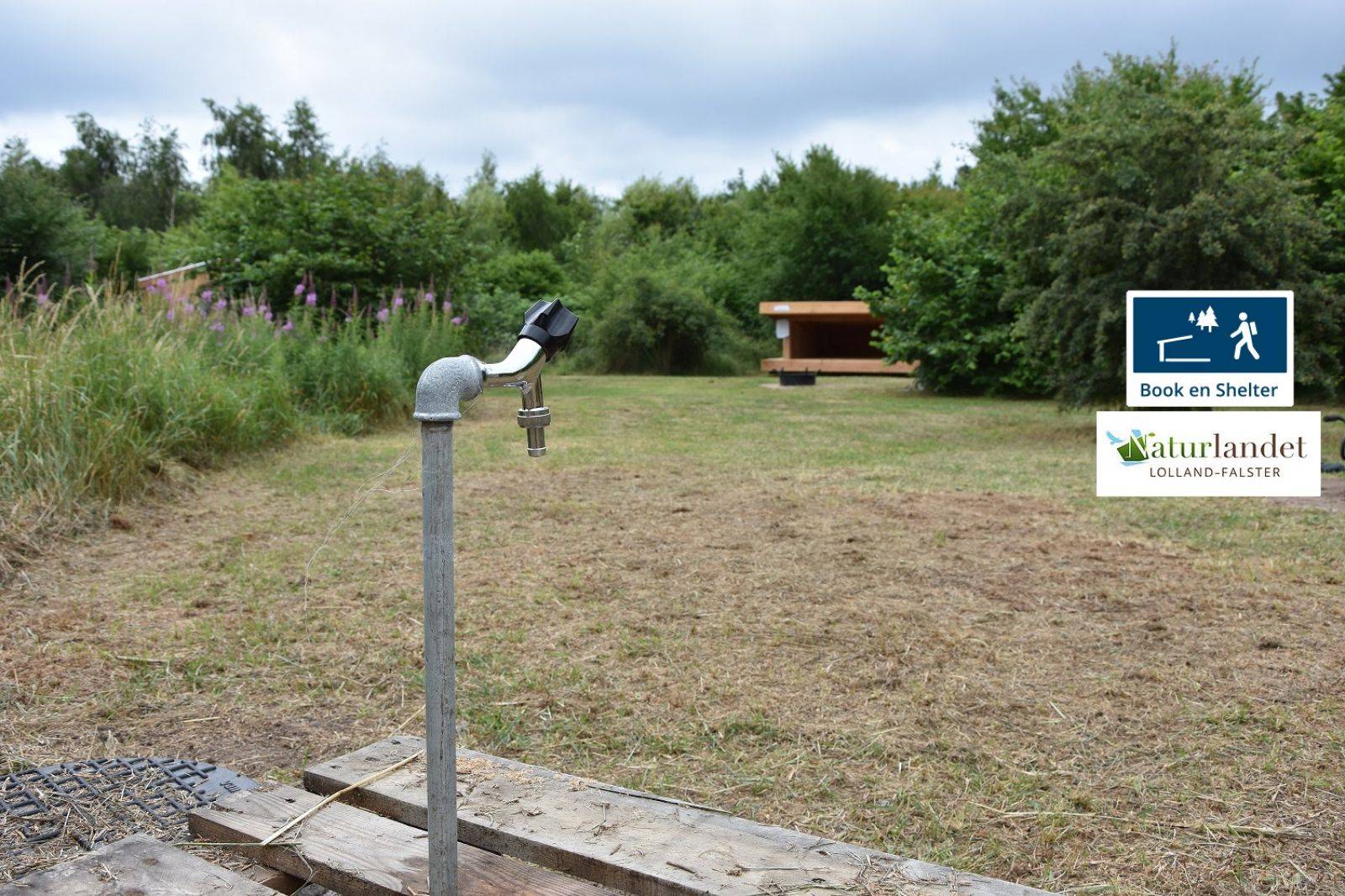 Billede af shelter Femø – Lille Strandgård – billede 2