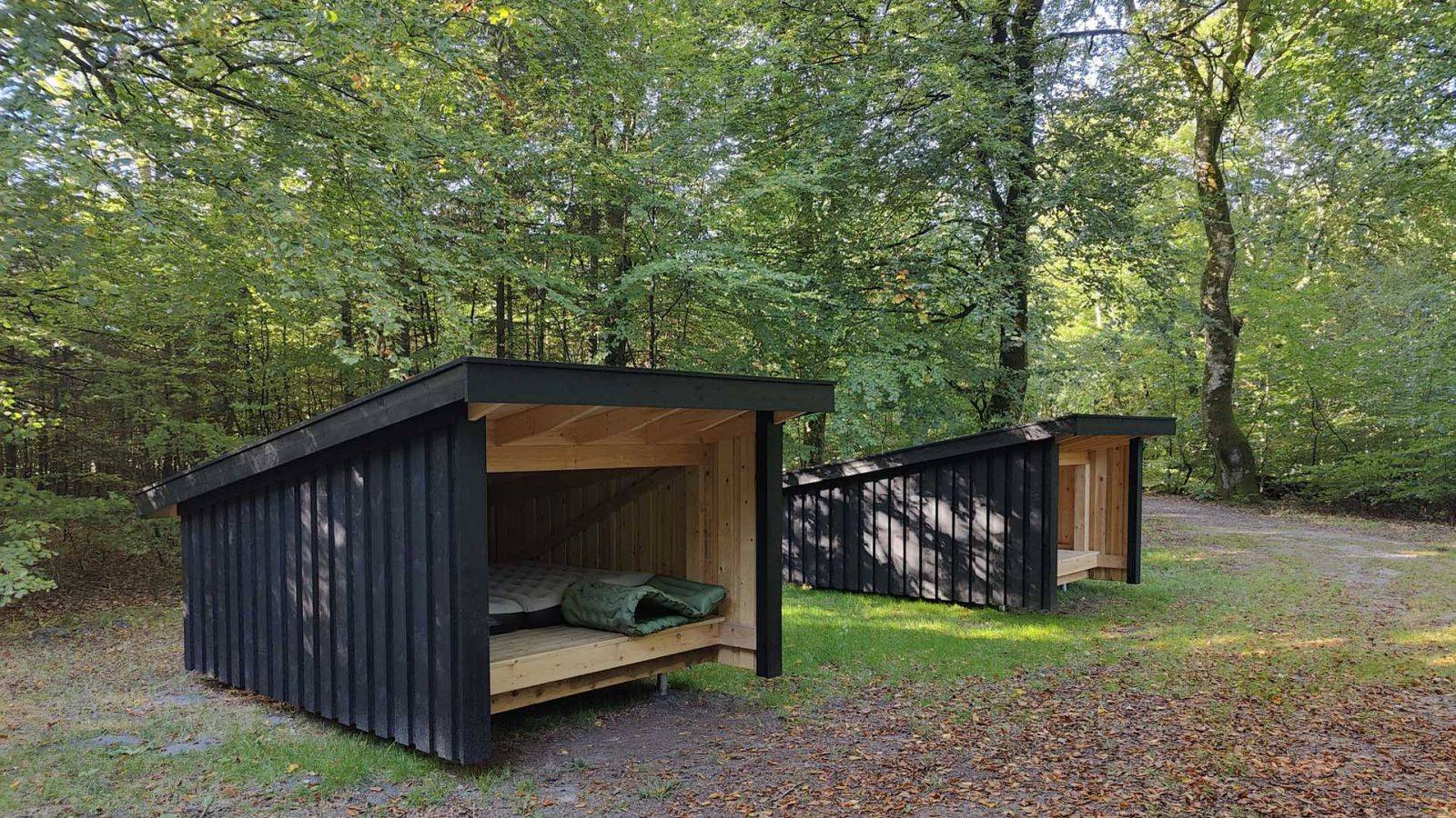 Billede af shelter Rold Skov, Urskoven – billede 3