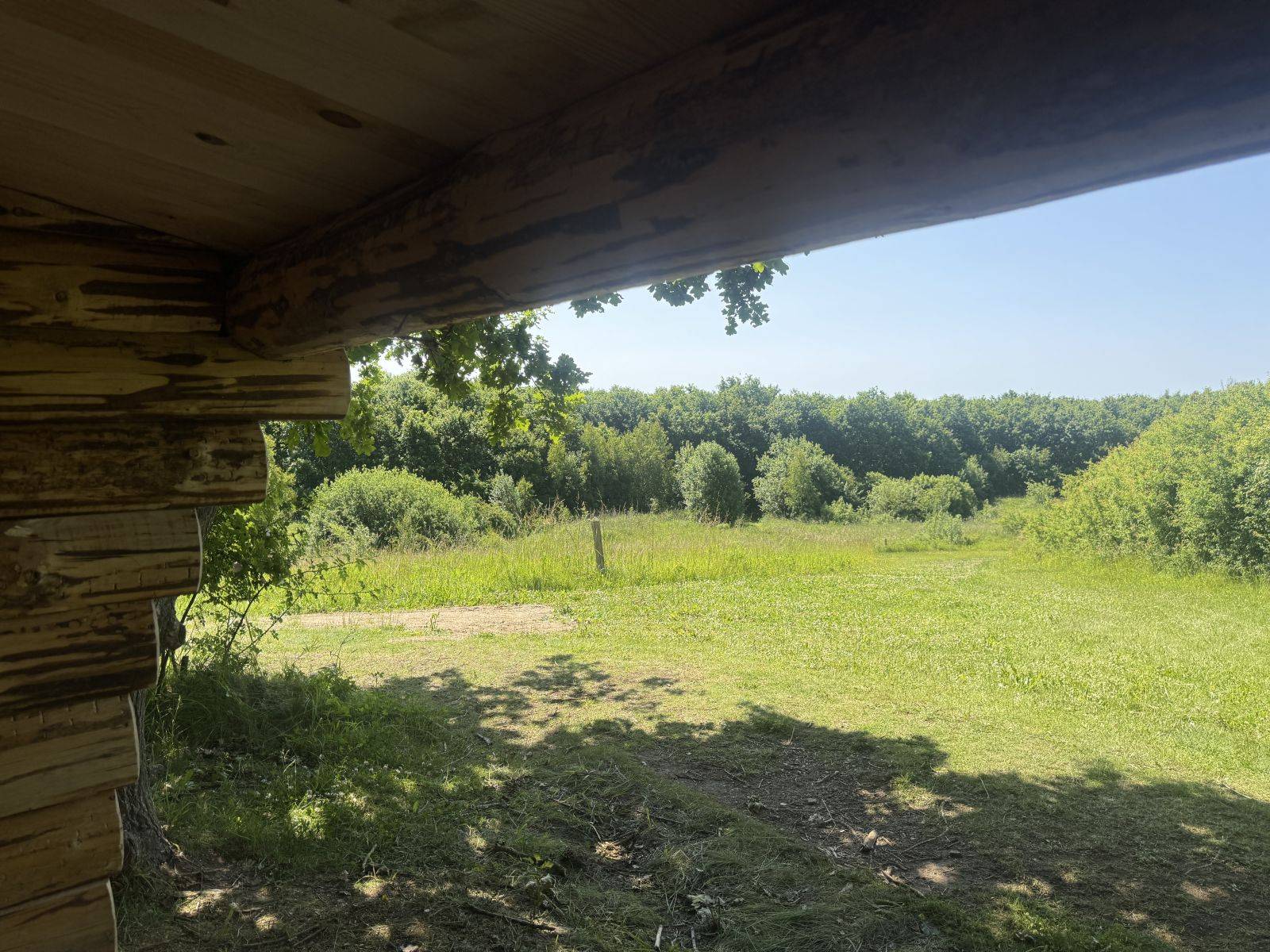 Billede af shelter Melbyskovens shelterplads – billede 2