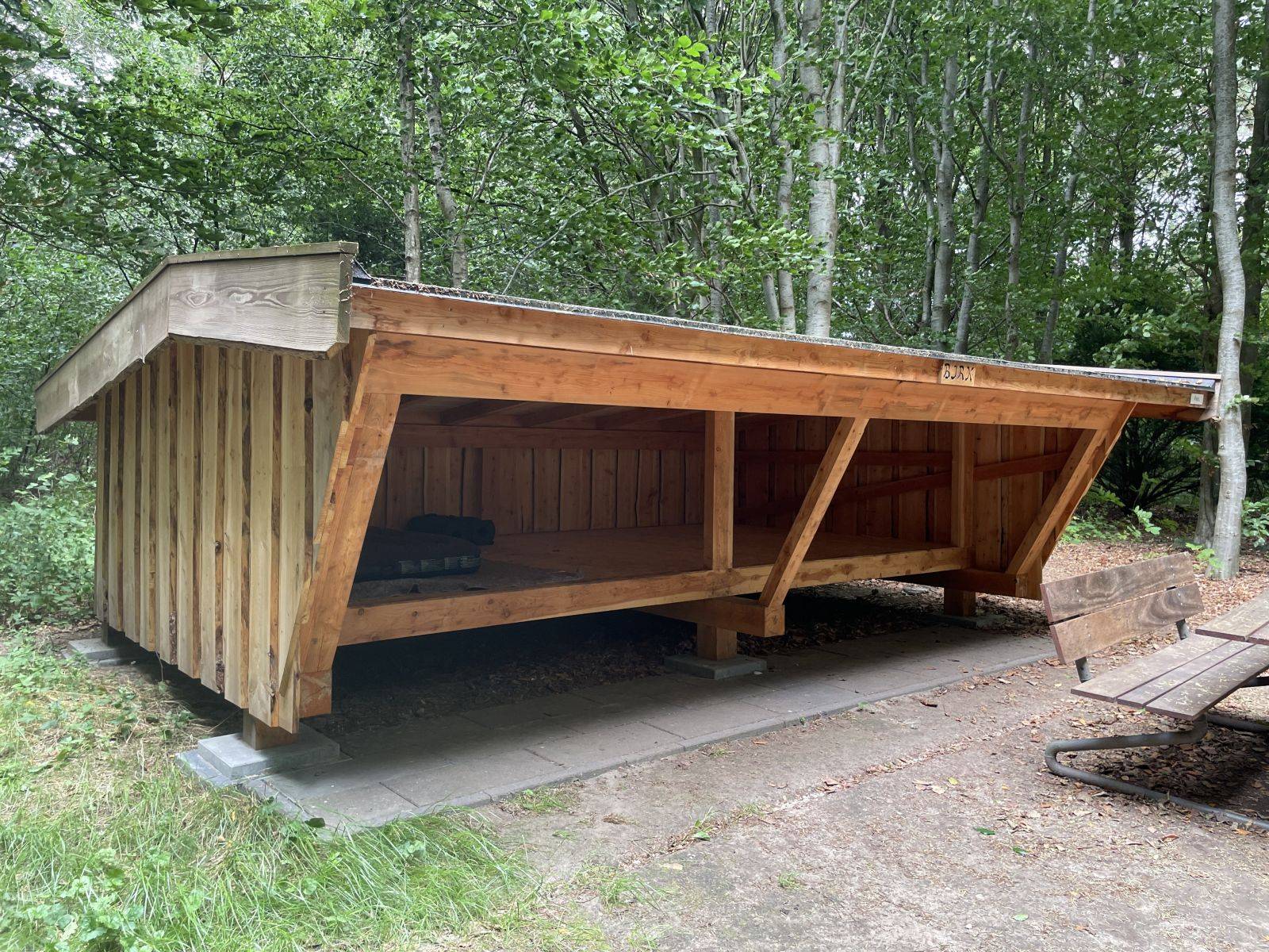 Billede af shelter Shelter i Larsens skov – billede 4