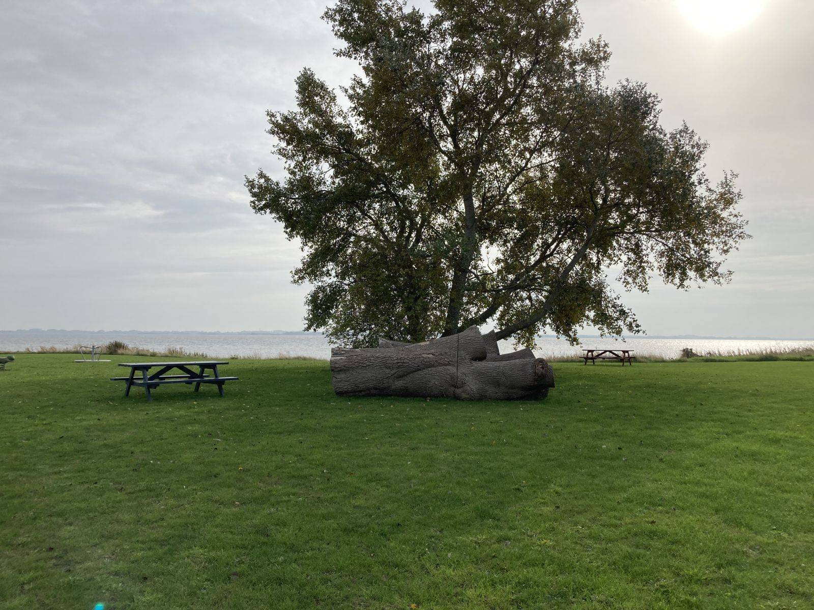 Billede af shelter Shelter & Naturlejrplads på Strynø - Øhavets Smakkecenter – billede 5