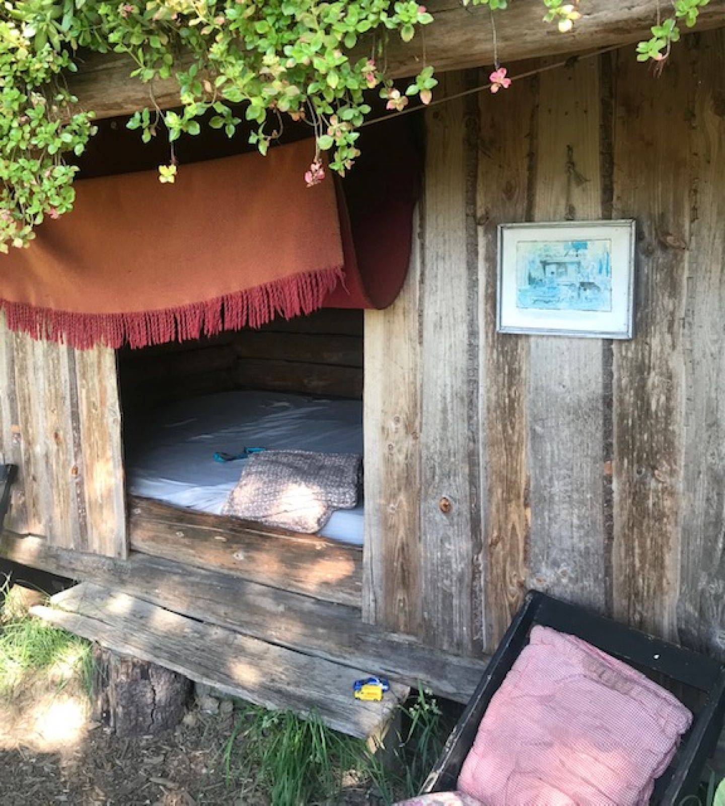 Billede af shelter Sønderås – billede 7