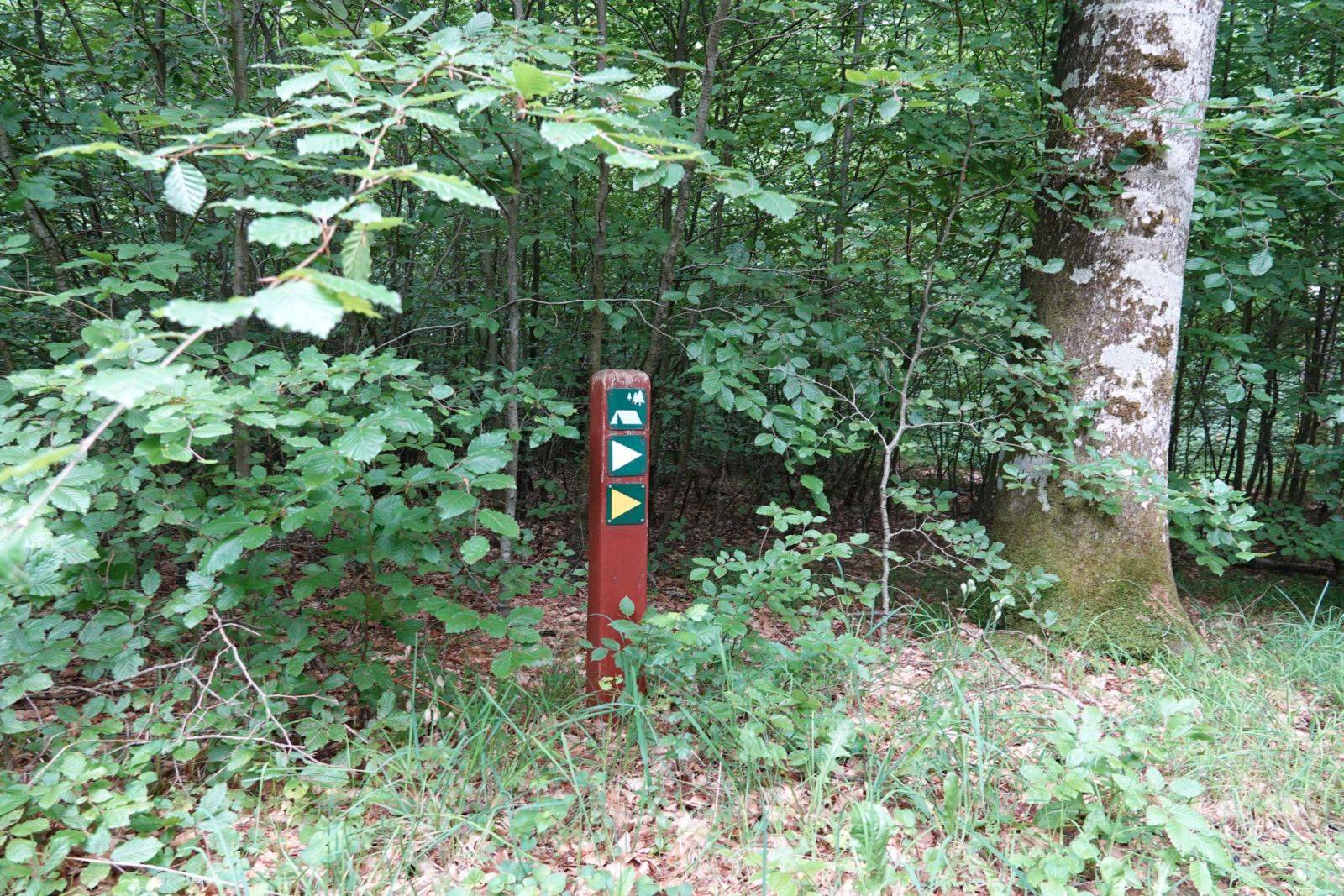 Billede af shelter Shelterplads Vindum Skov - Shelter nr. 2 (ikke bookbar)