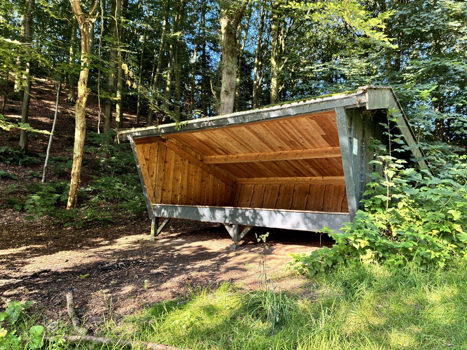Billede af shelter Granada skoven – billede 3
