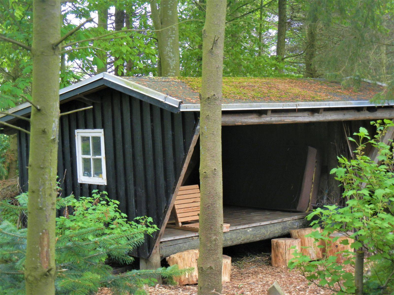 Billede af shelter Shelteren på Bjergagervej 6, Skårup – billede 4