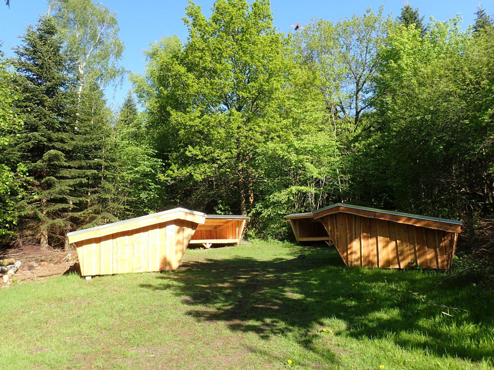 Billede af shelter Shelterplads i Undallslund