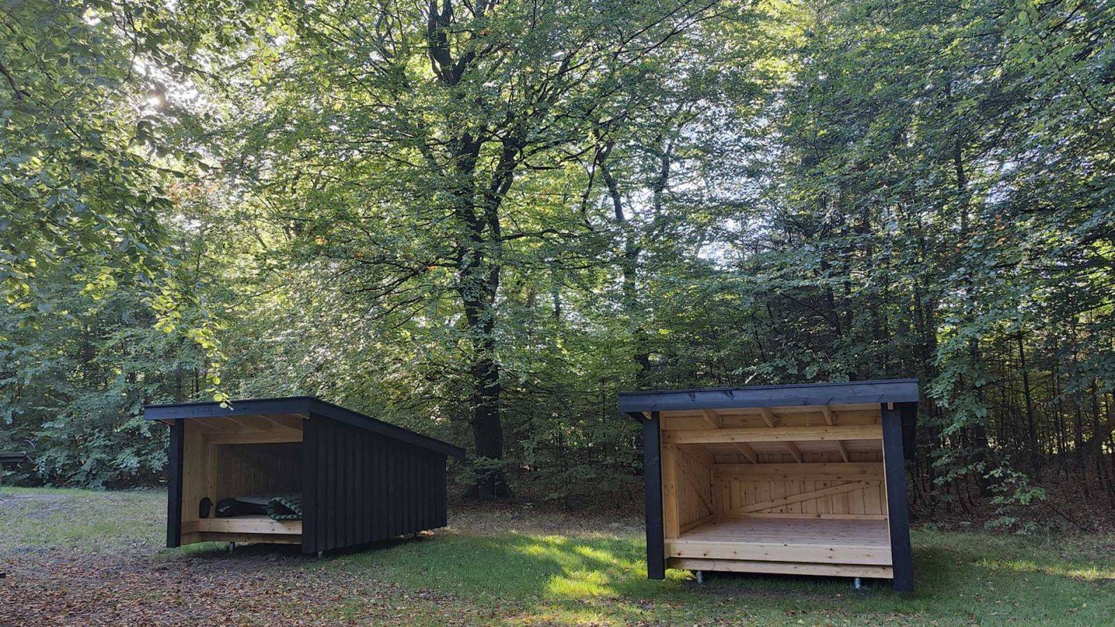 Billede af shelter Rold Skov, Urskoven – billede 2