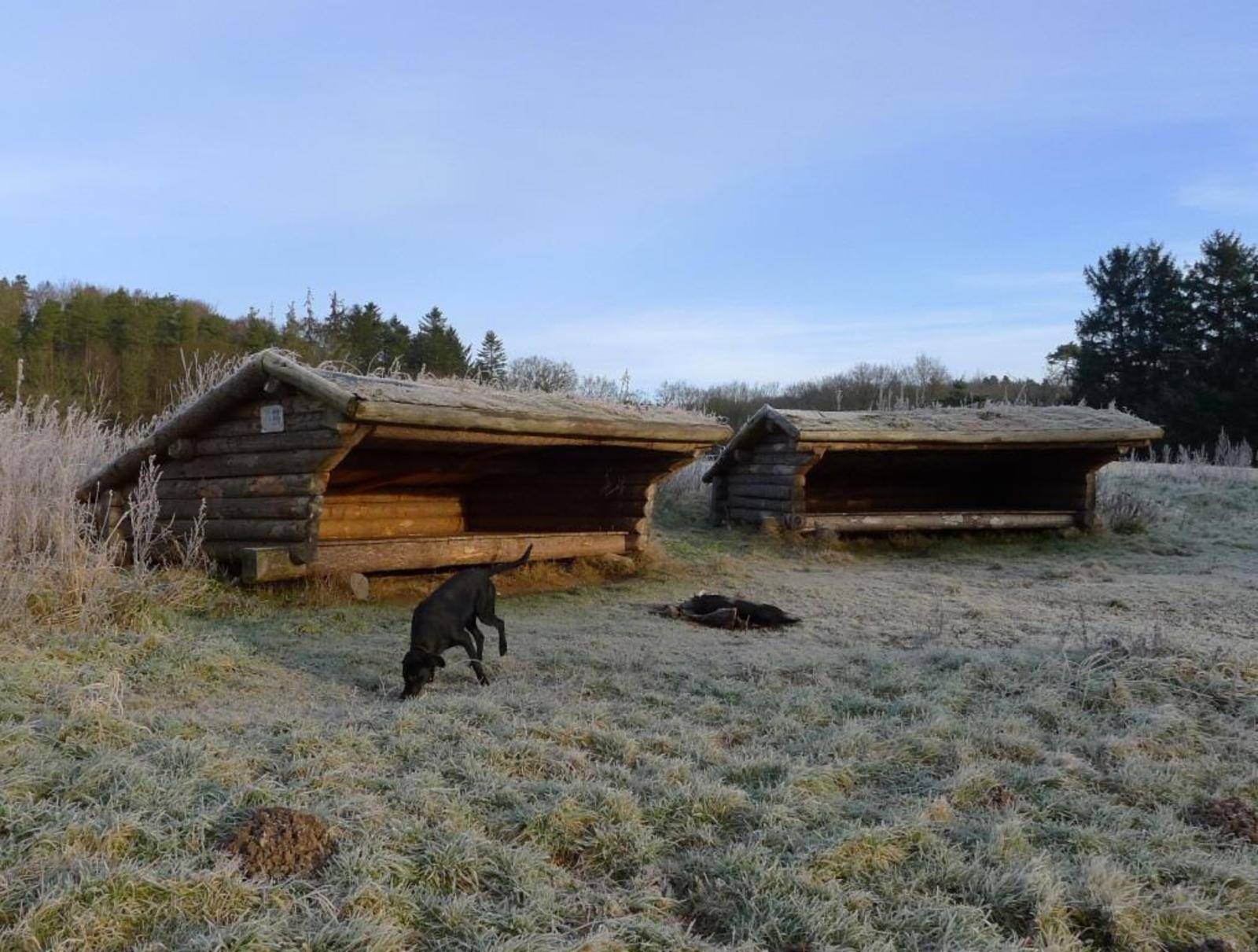 Billede af shelter Lejrplads Nørreå - shelter nr. 1 (Bookbar)