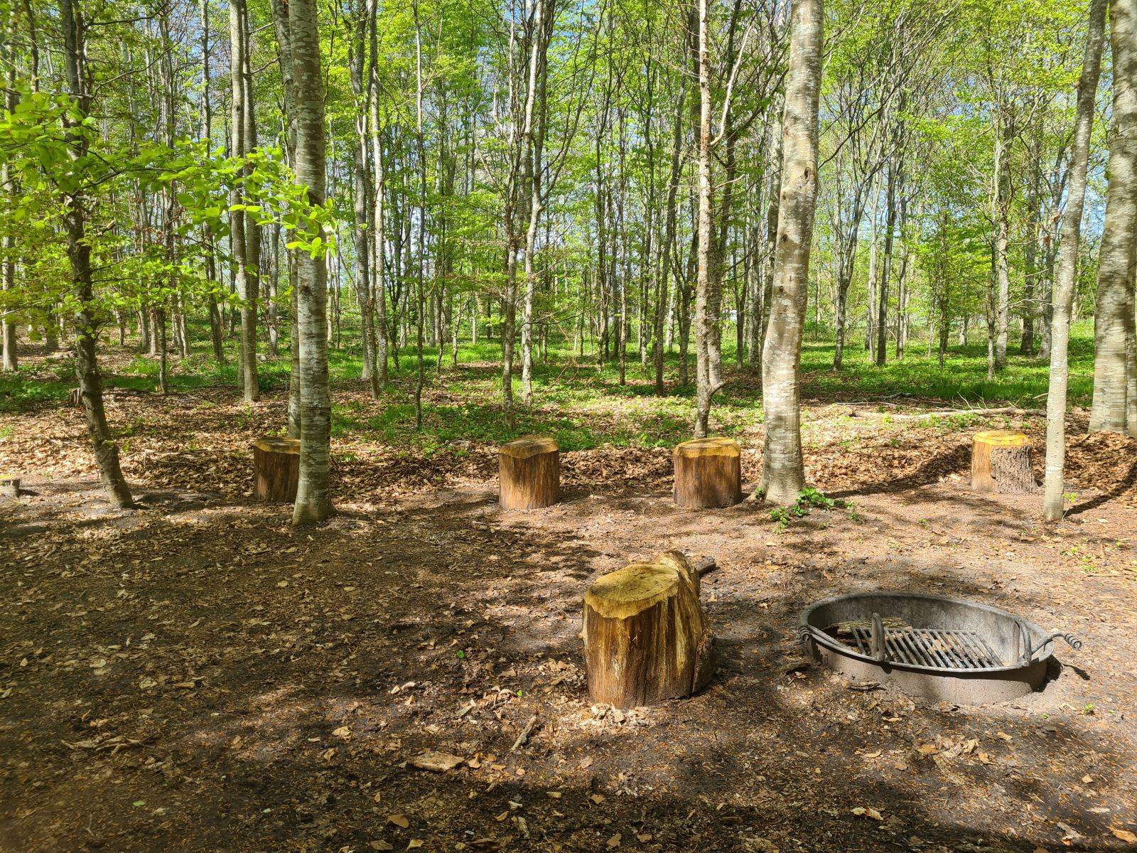 Billede af shelter Shelter Otterup Byskov