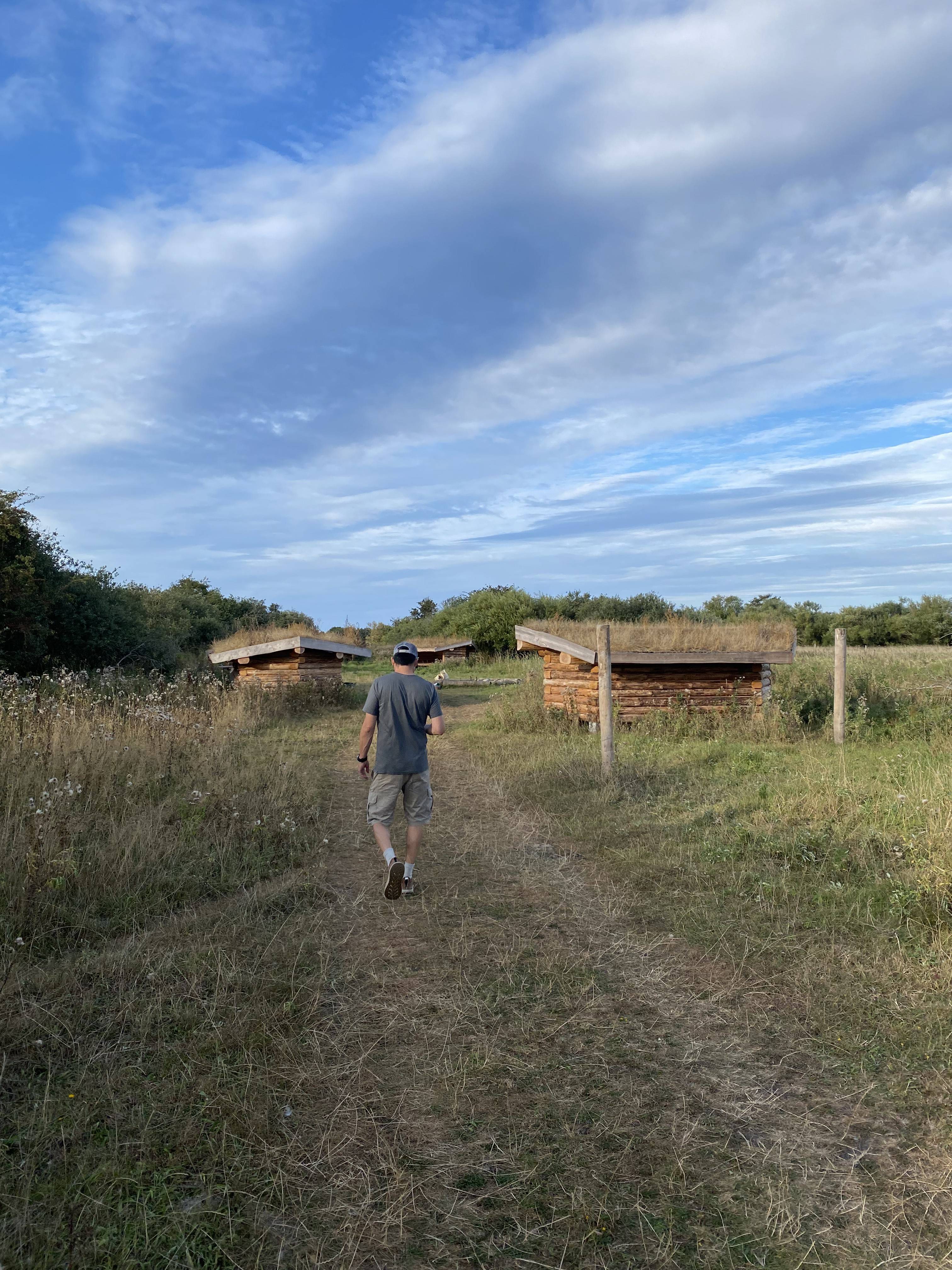 Billede af shelter Shelterplads ved Solvognens fundsted – billede 7