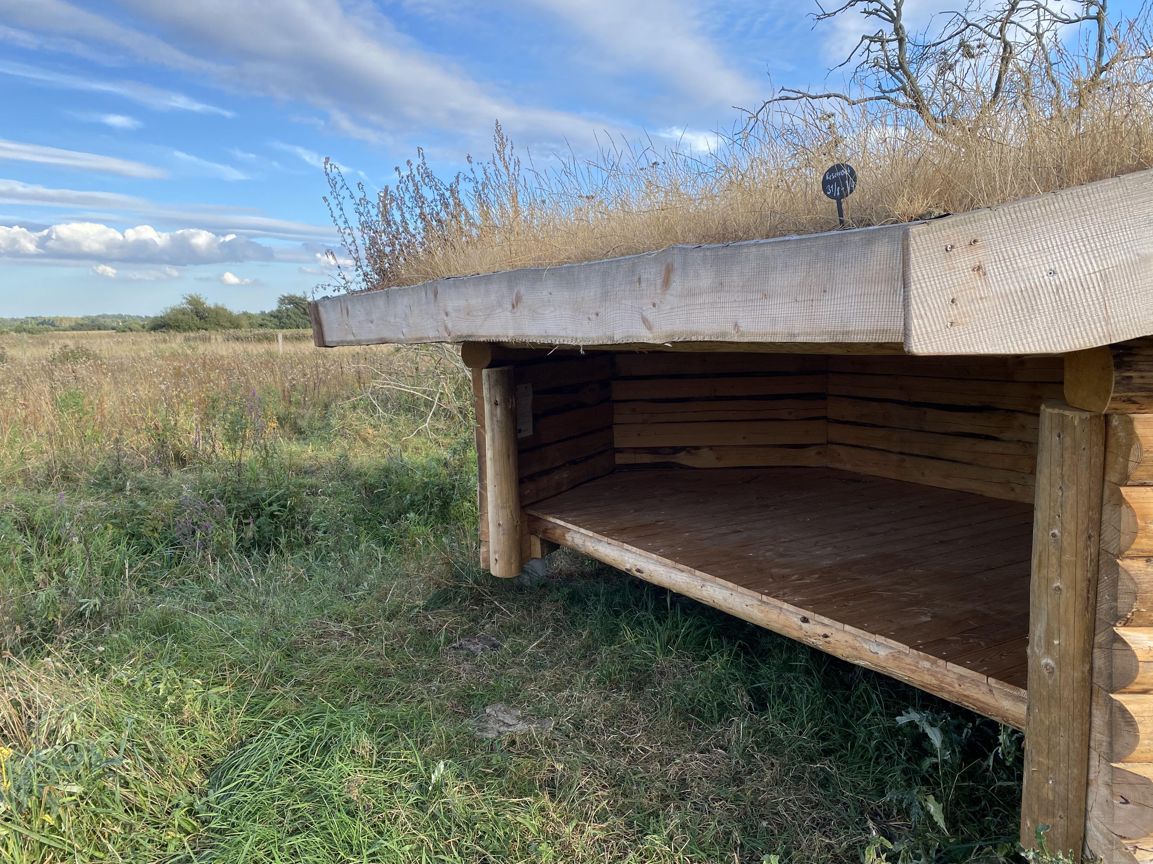 Billede af shelter Shelterplads ved Solvognens fundsted – billede 9