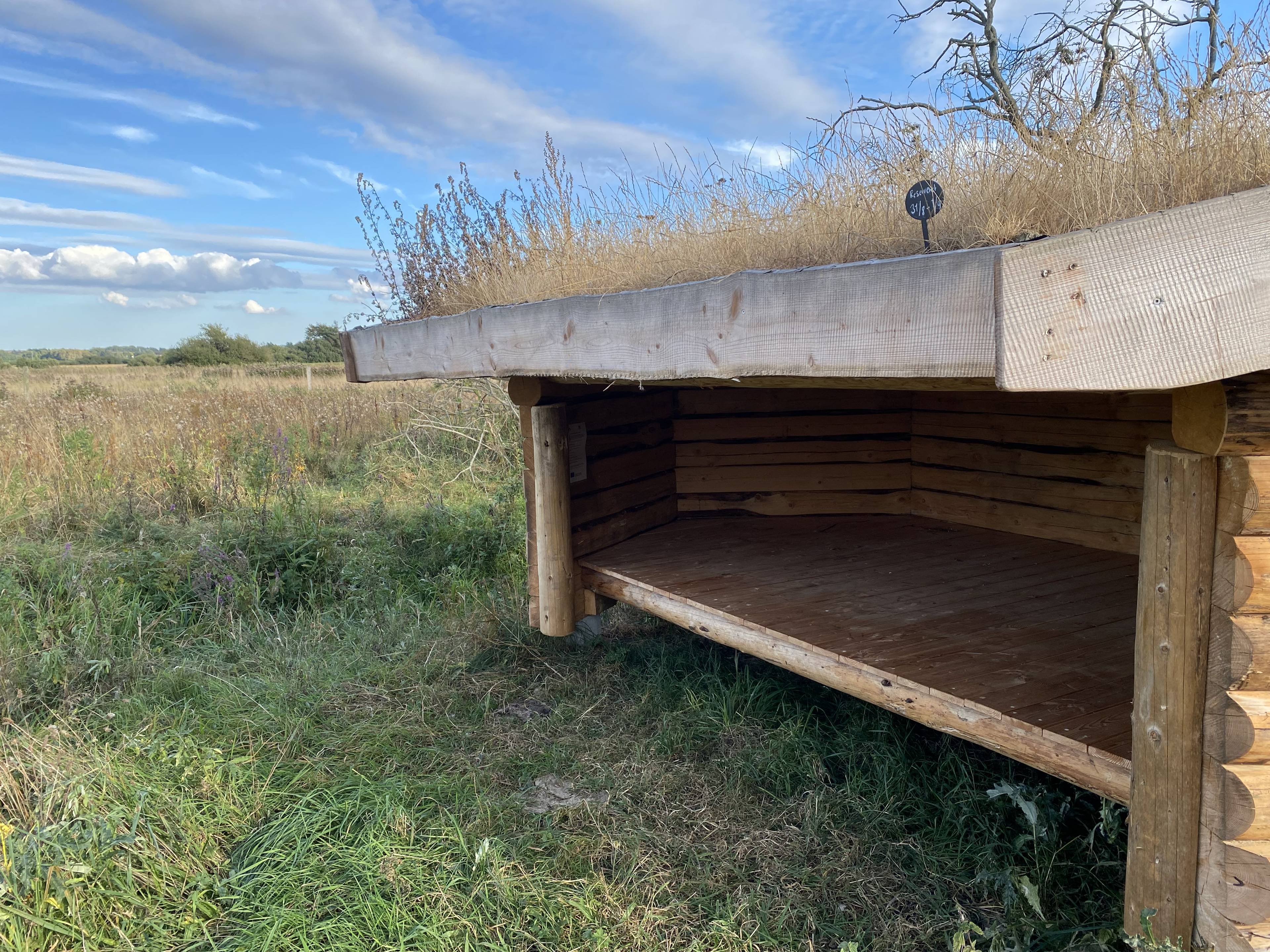 Billede af shelter Shelterplads ved Solvognens fundsted – billede 9