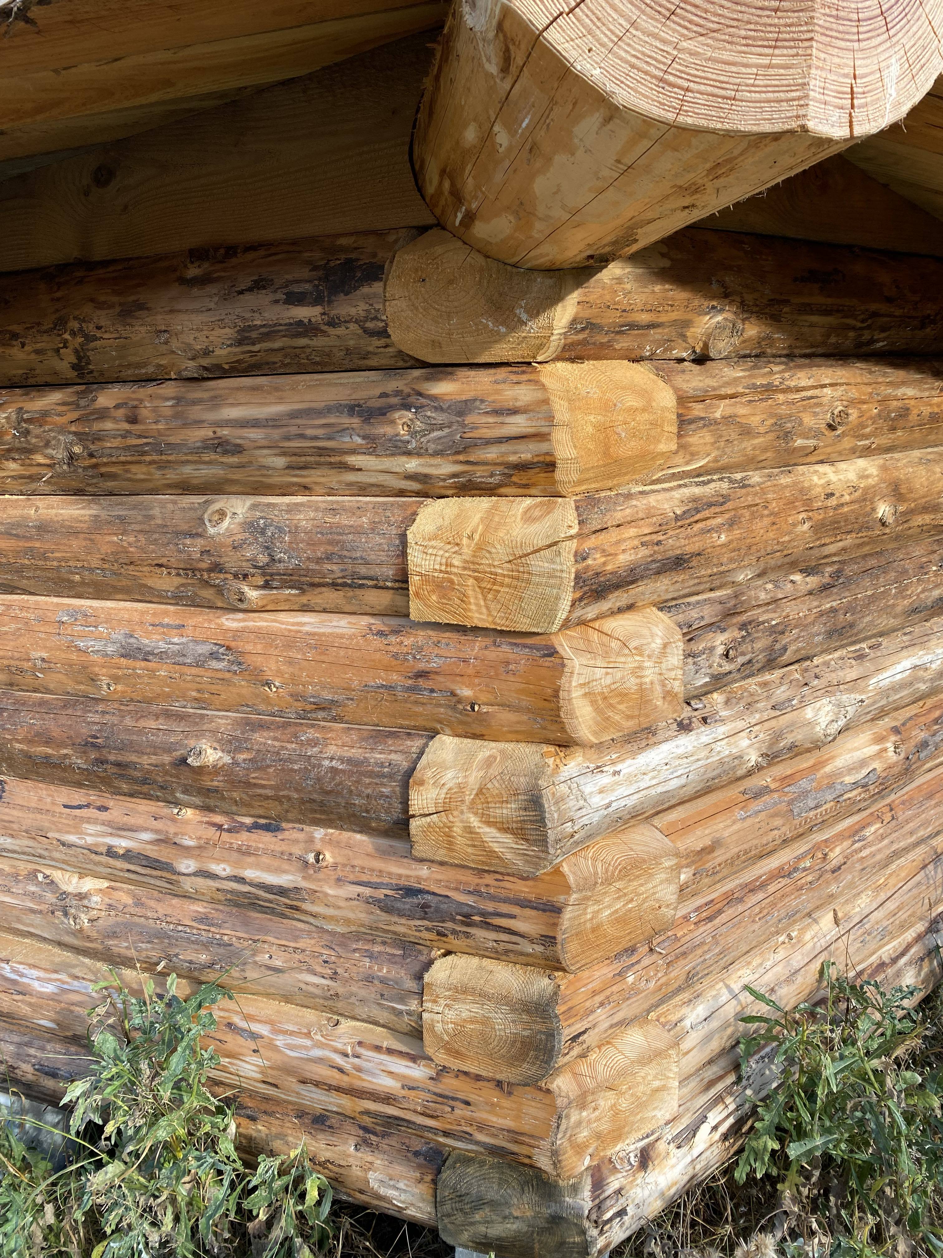 Billede af shelter Shelterplads ved Solvognens fundsted – billede 8