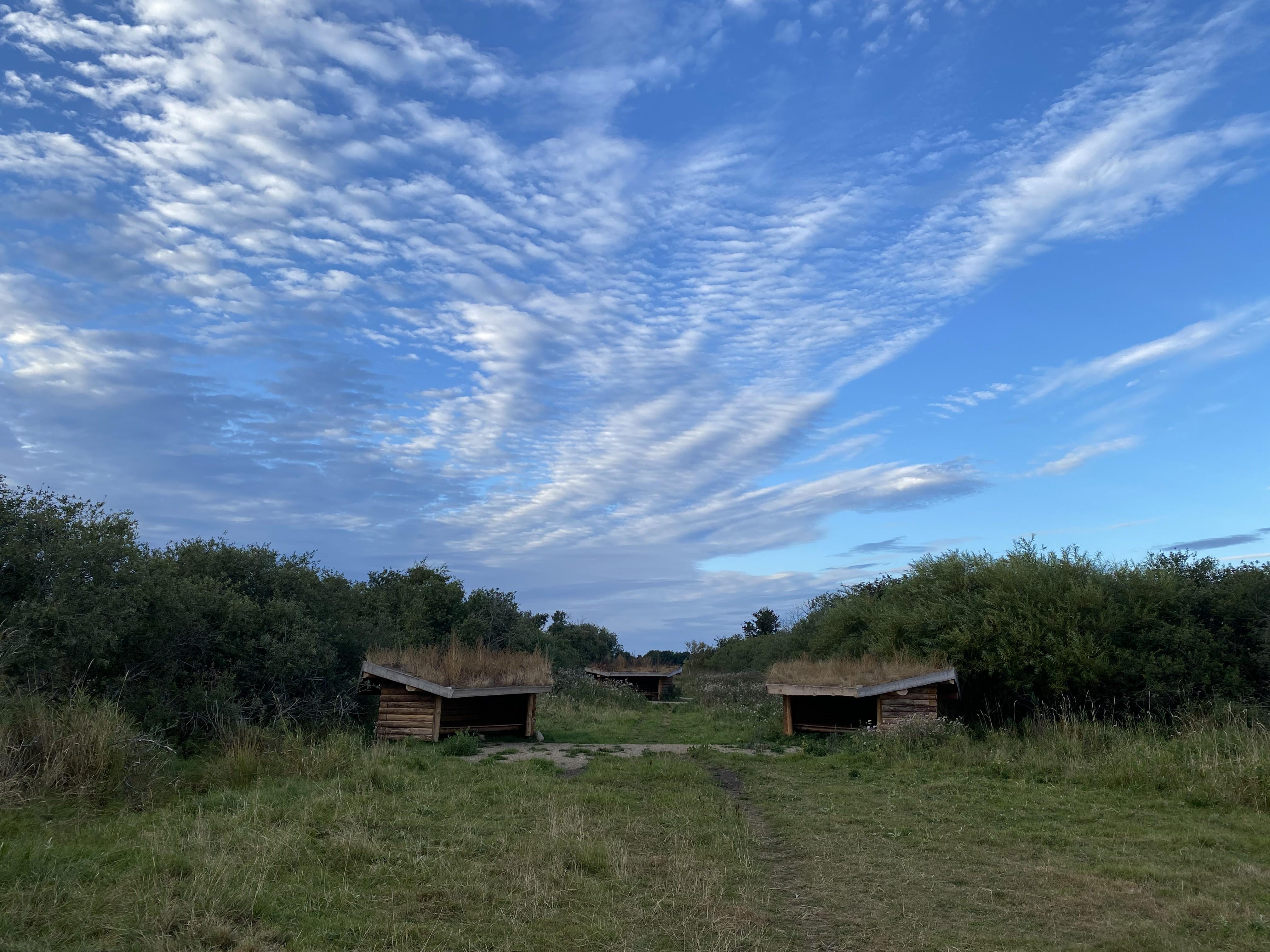 Billede af shelter Shelterplads ved Solvognens fundsted – billede 10