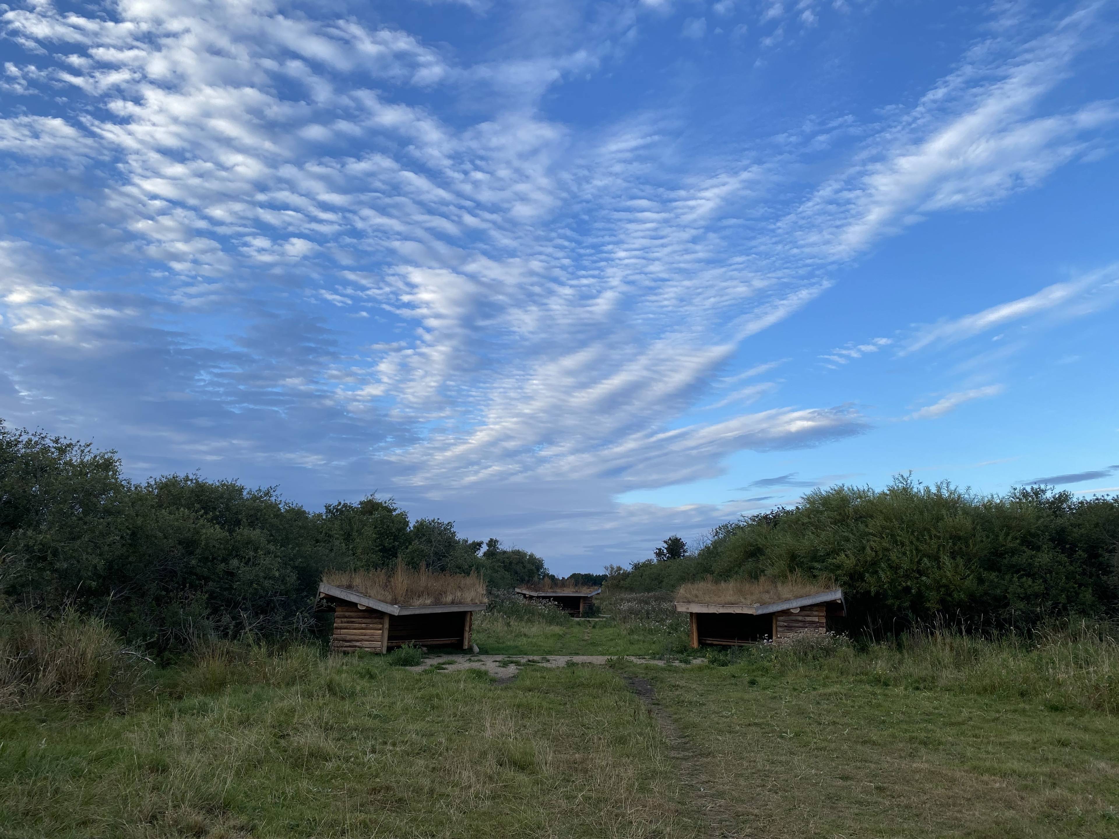 Billede af shelter Shelterplads ved Solvognens fundsted – billede 10