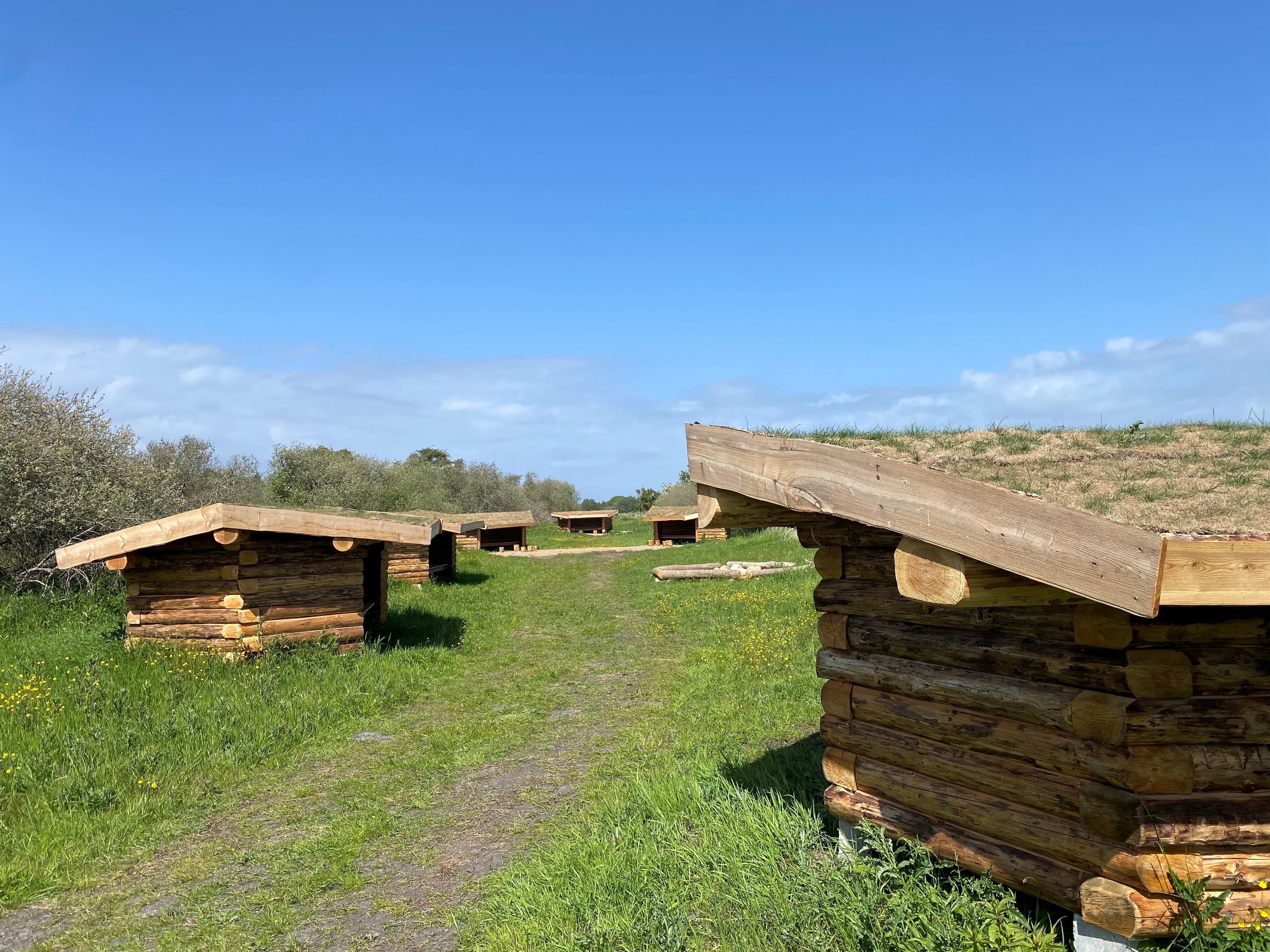 Billede af shelter Shelterplads ved Solvognens fundsted – billede 1