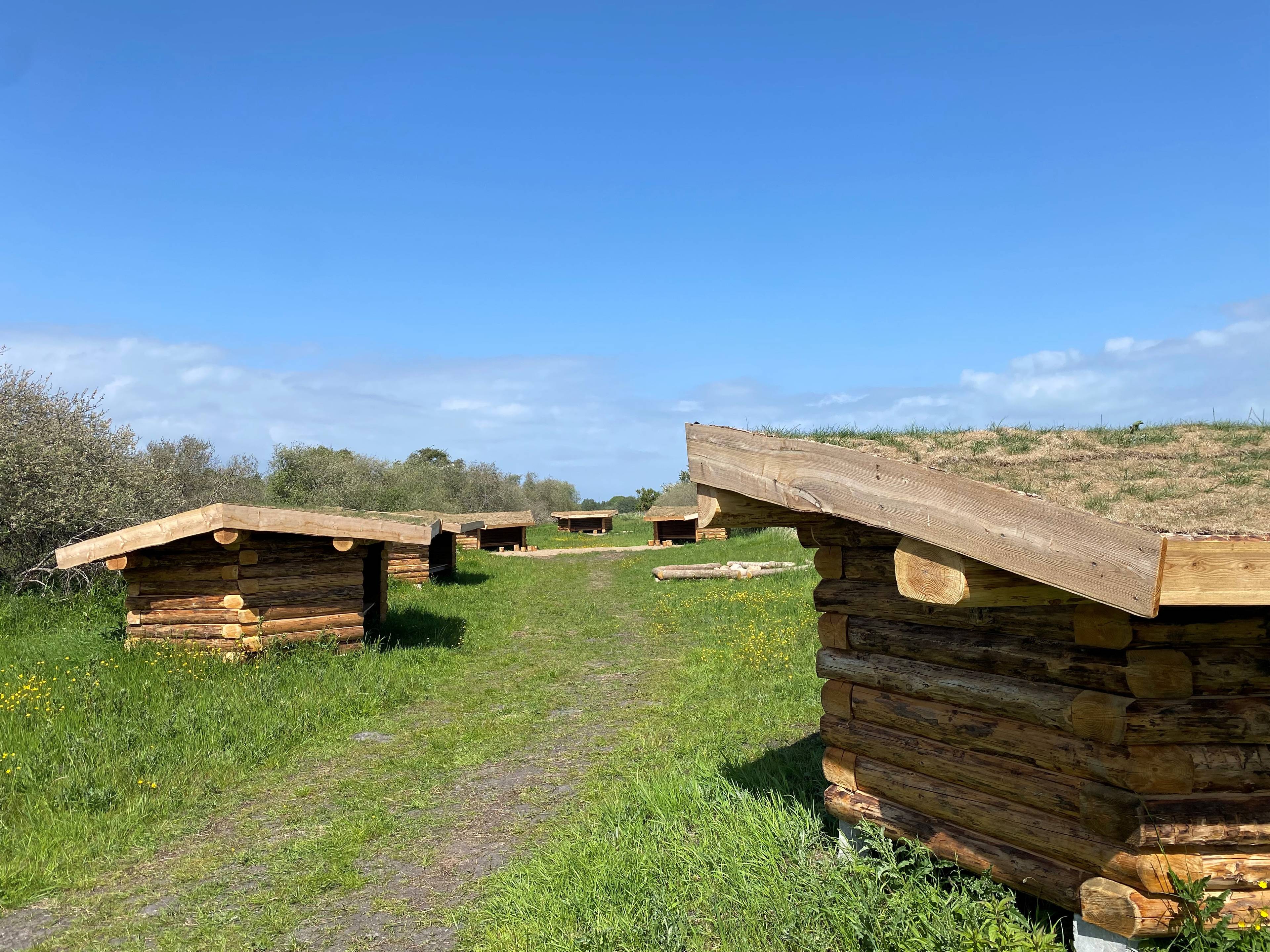 Billede af shelter Shelterplads ved Solvognens fundsted – billede 1
